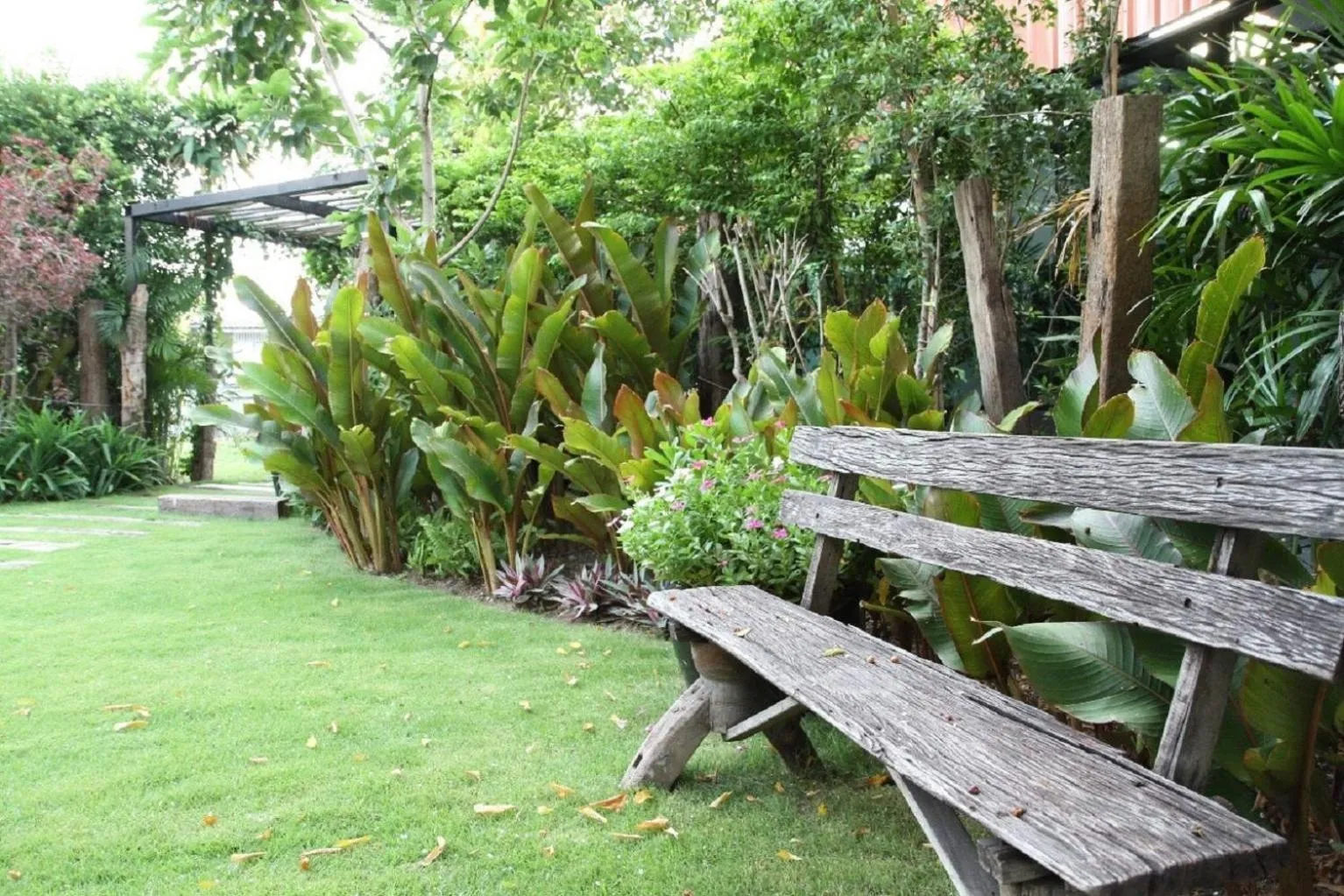 Natural landscape in The Loft Resort Bangkok
