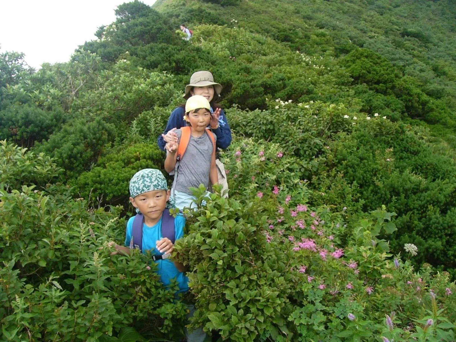 People in Shukubo Kansho-in Temple Sanrakuso