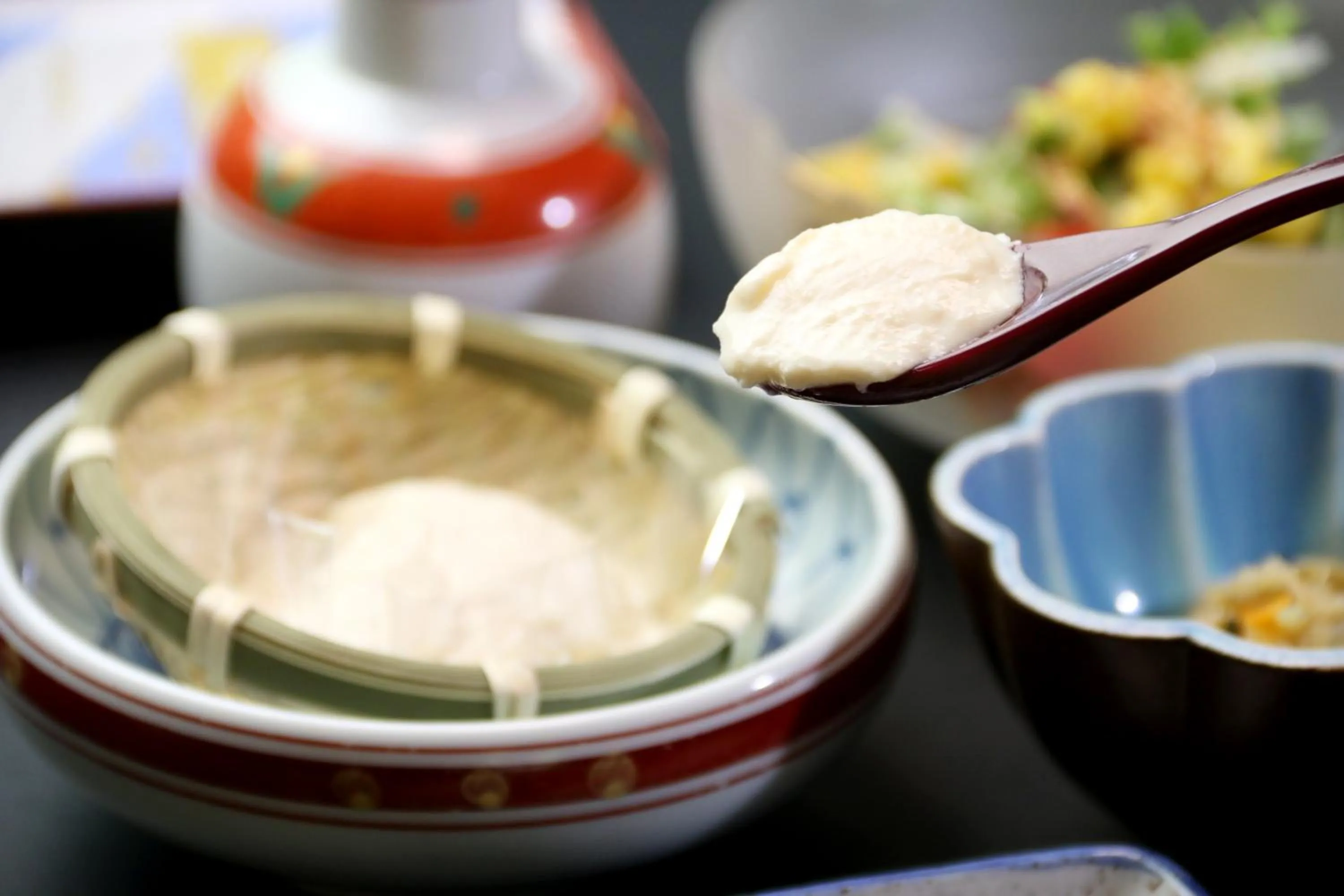 Food and drinks in Shukubo Kansho-in Temple Sanrakuso