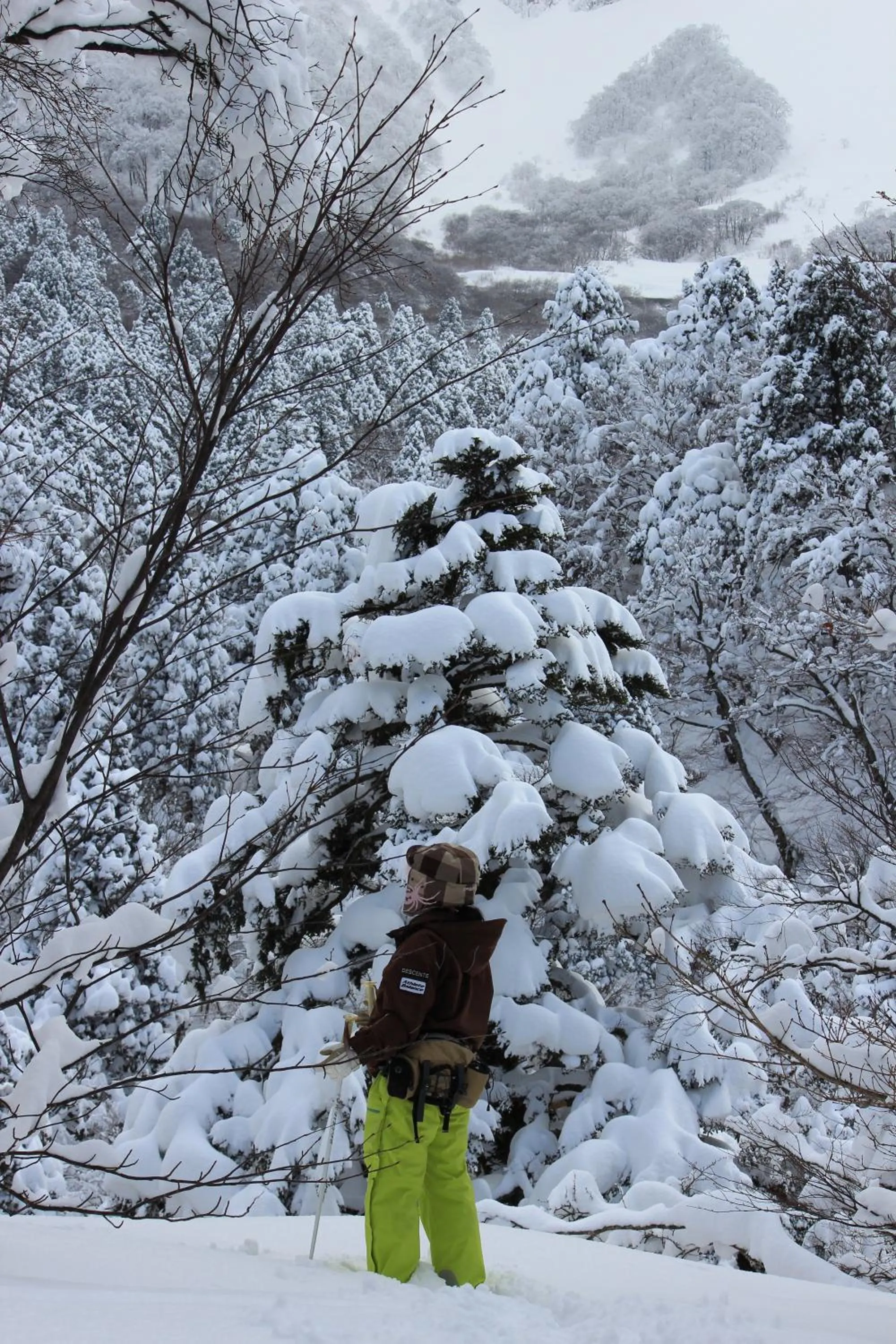 Area and facilities in Shukubo Kansho-in Temple Sanrakuso