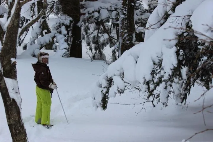 Area and facilities in Shukubo Kansho-in Temple Sanrakuso