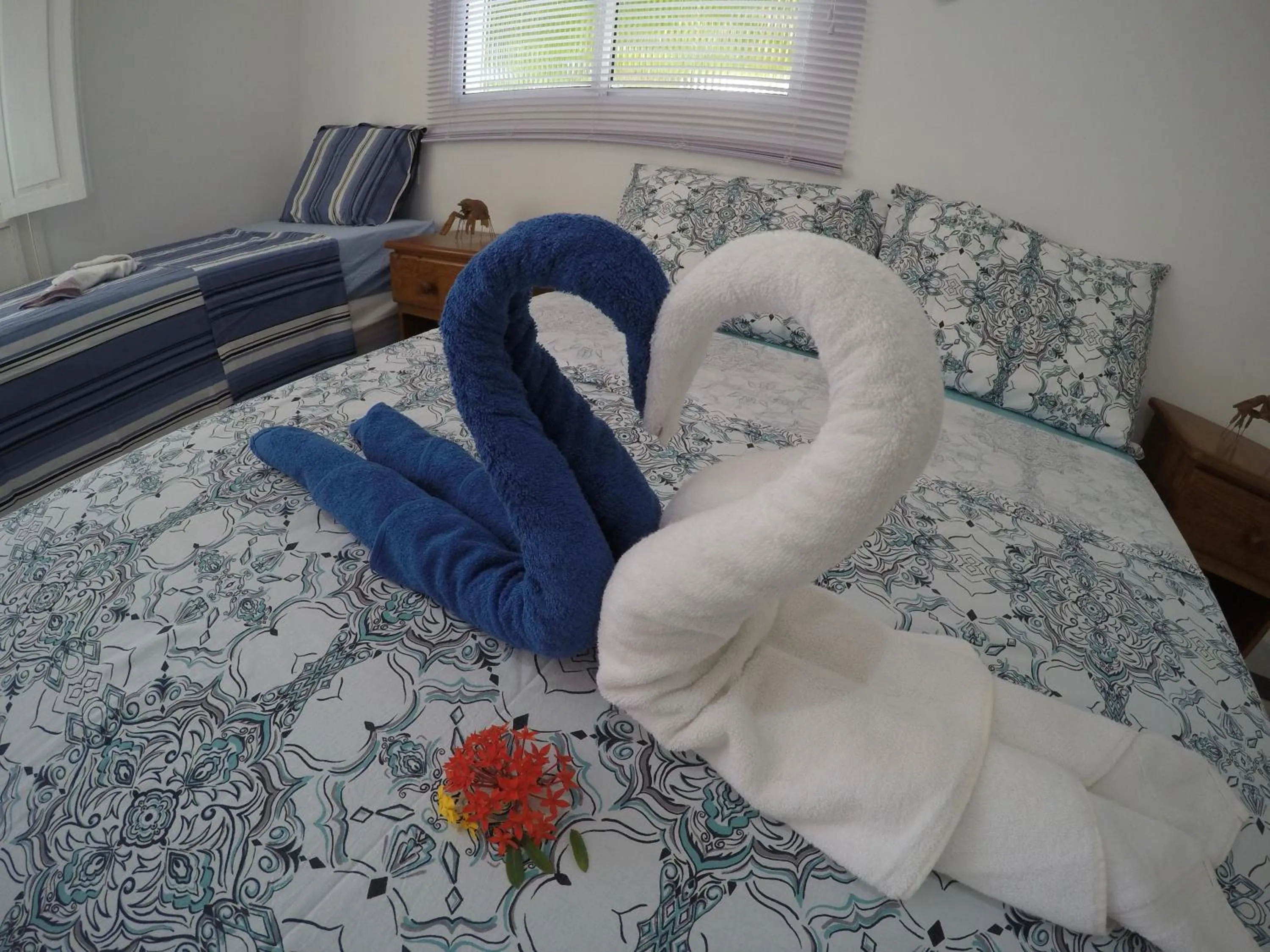 Bed in Chale 48 Maragogi Village Gales