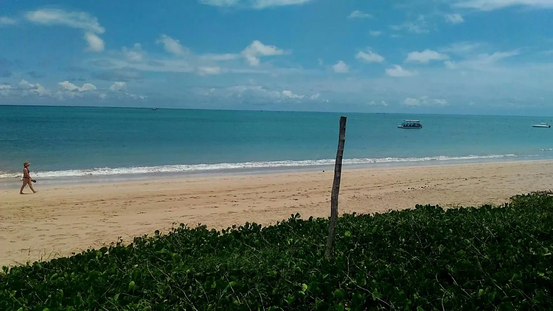 Natural landscape in Chale 48 Maragogi Village Gales