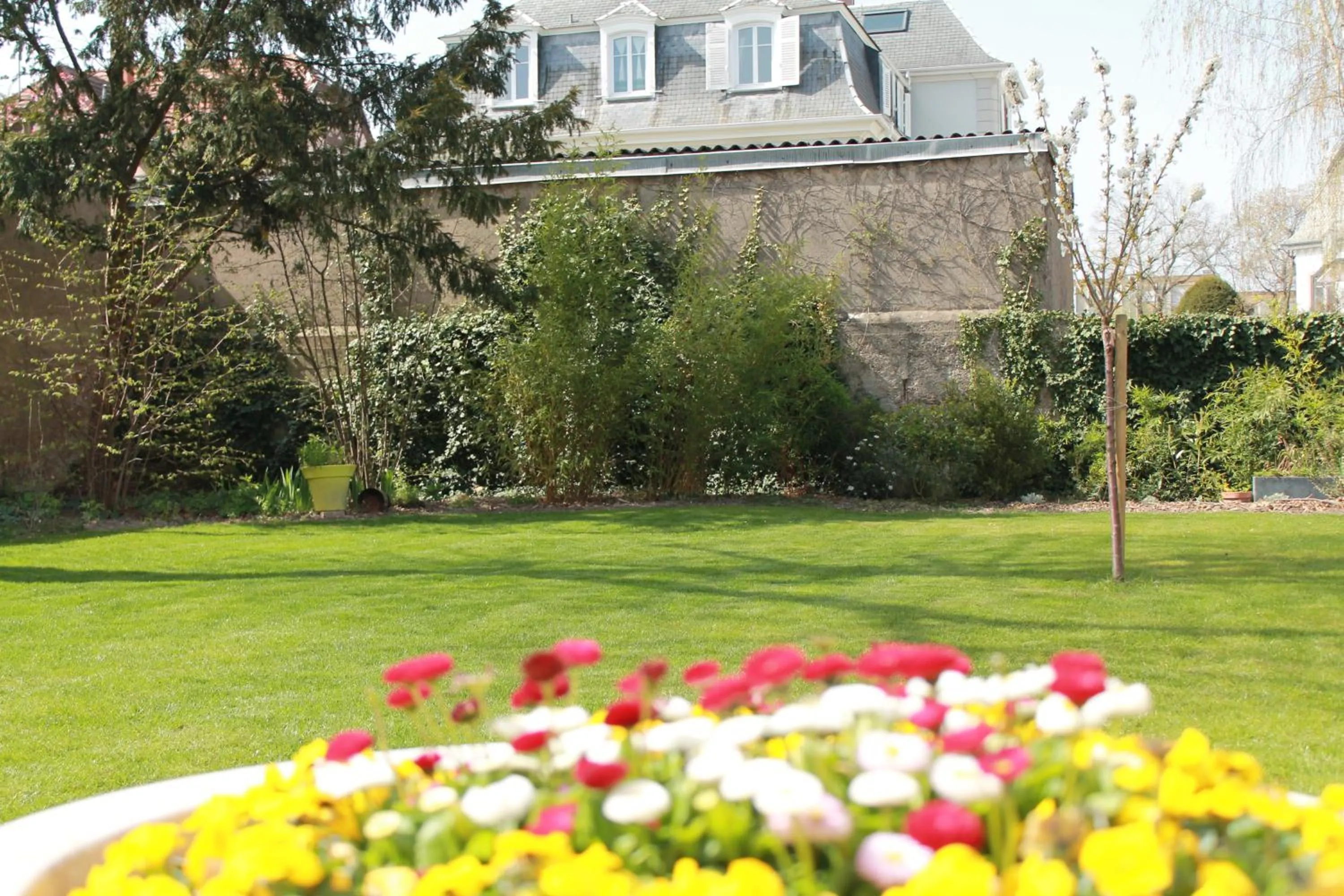 Garden in Villa Élyane