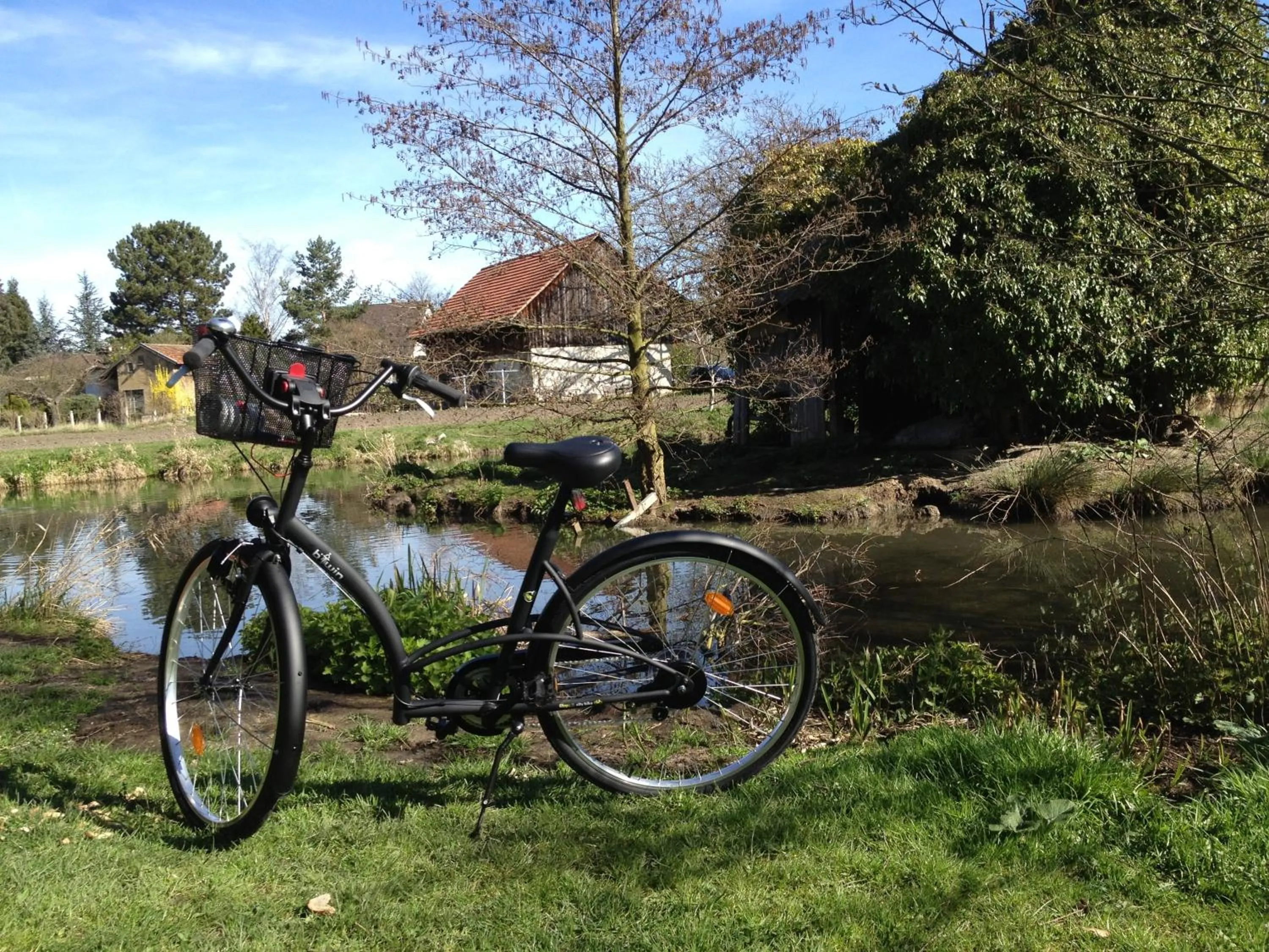 Area and facilities in Villa Élyane