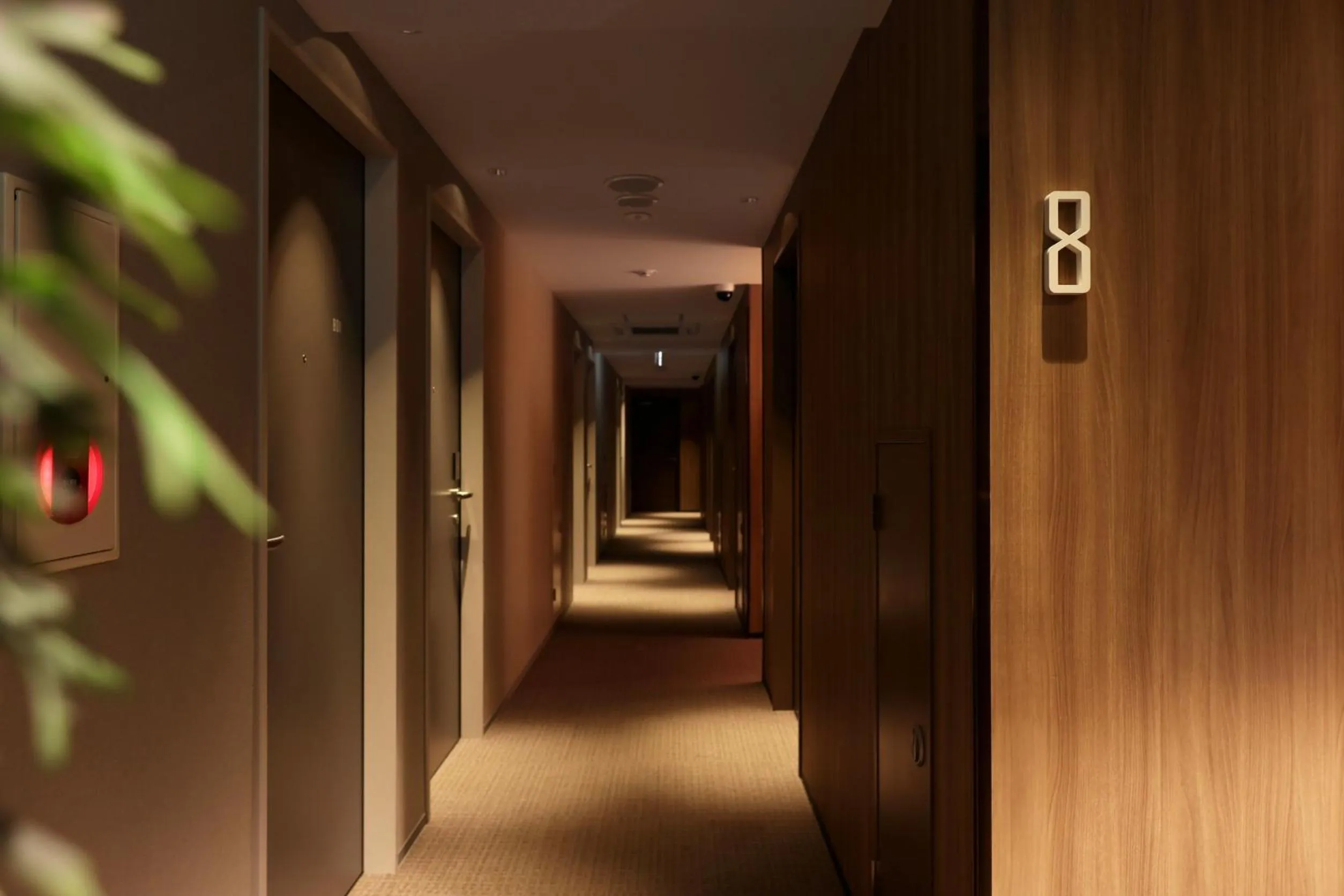 Area and facilities in Doutonbori Crystal Hotel Ⅱ