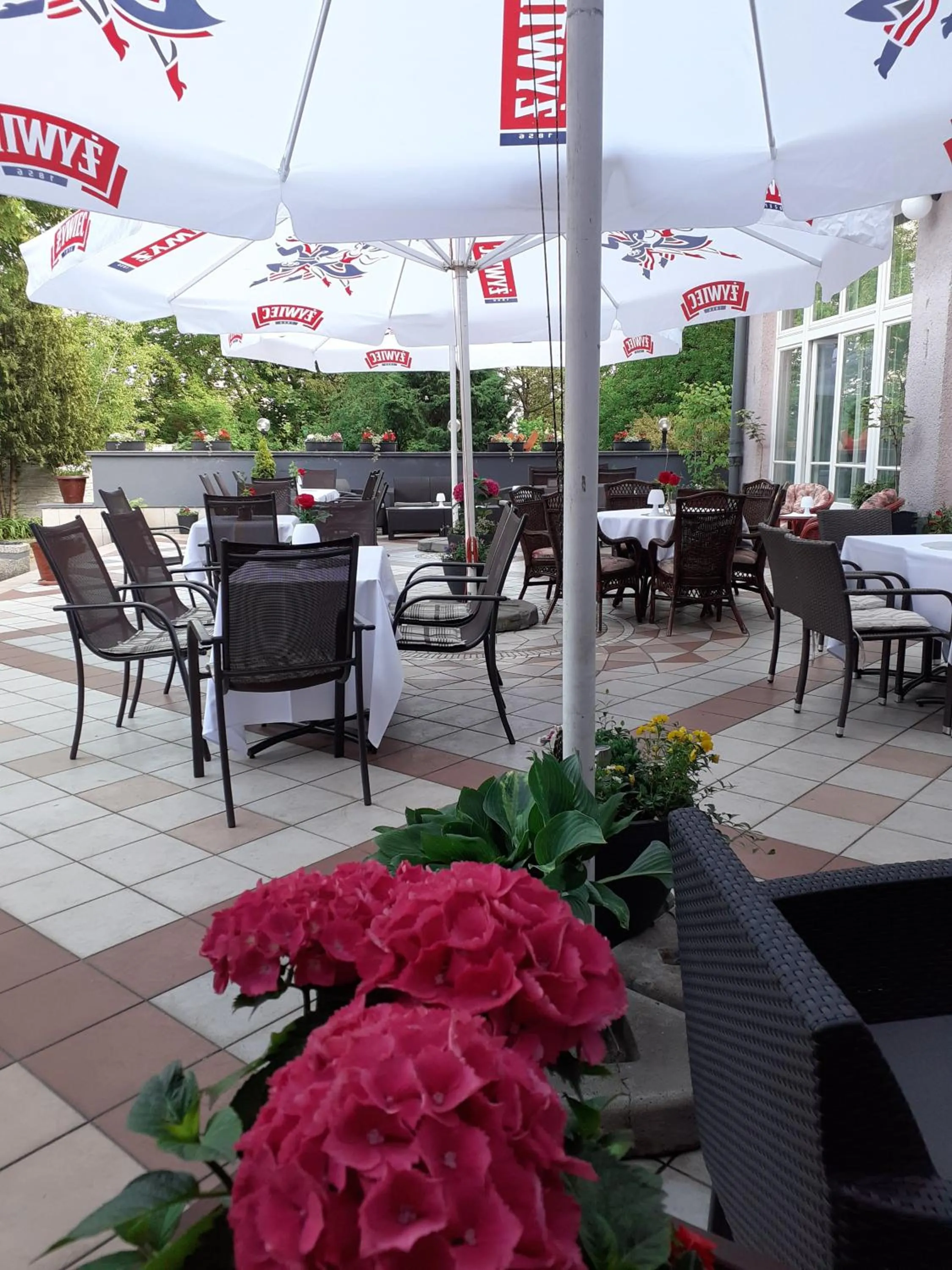 Garden in Hotel Hutnik