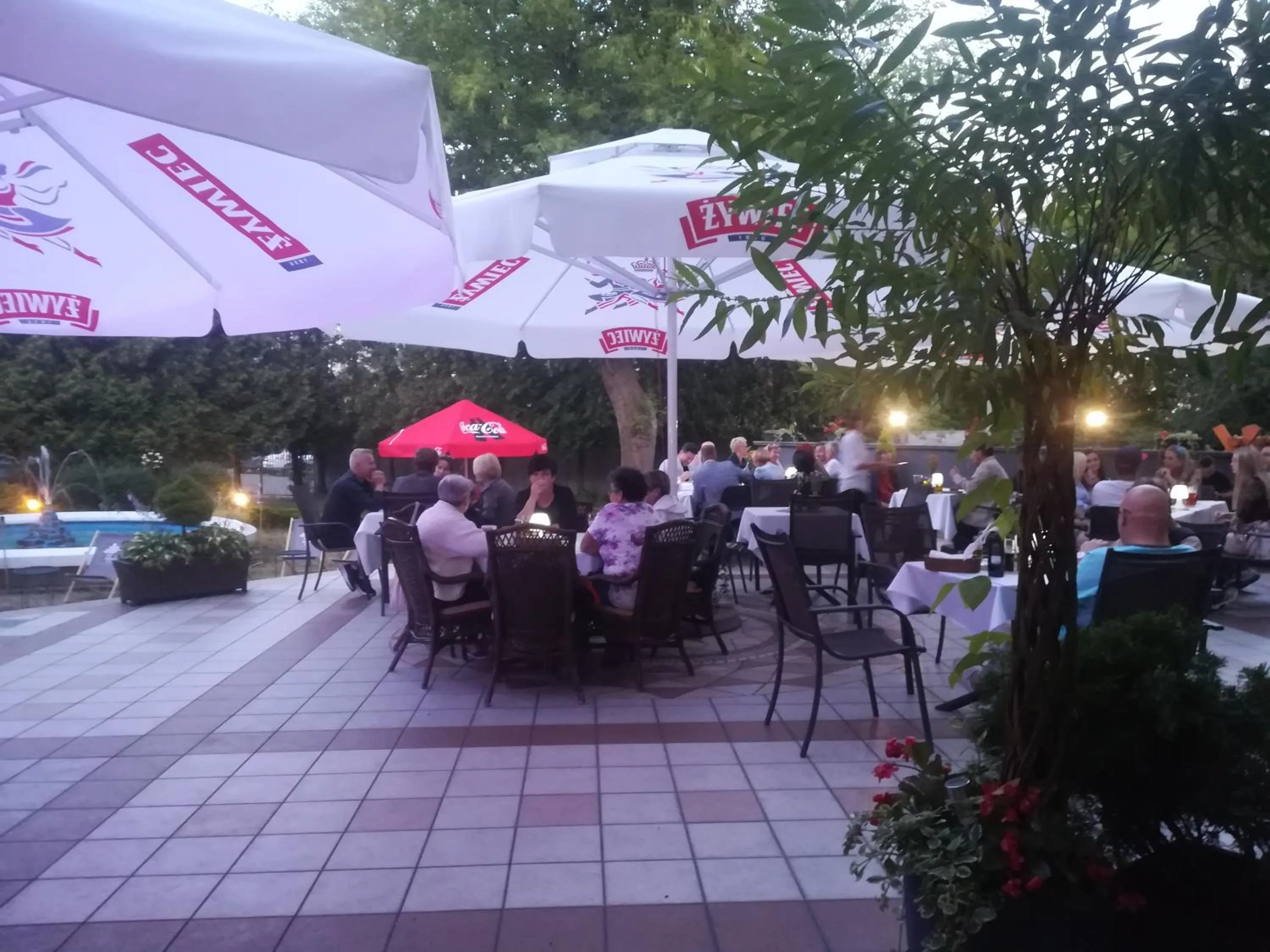 Garden in Hotel Hutnik