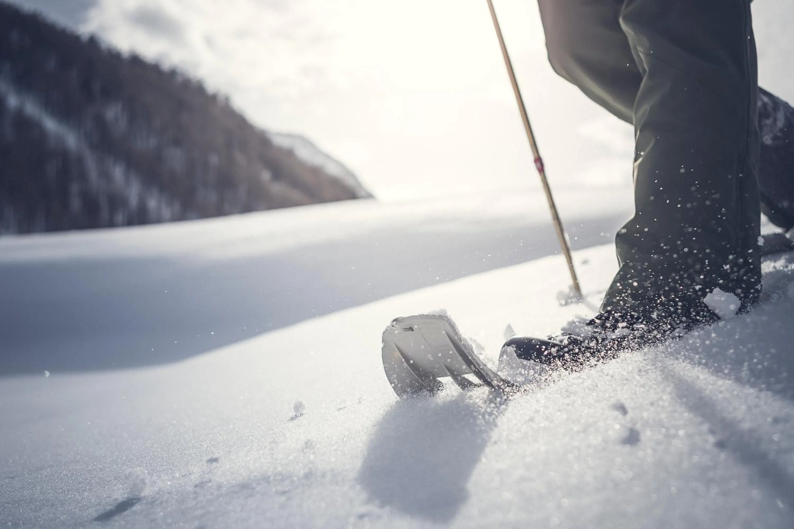 Winter in Terentnerhof 4*S active & lifestyle hotel