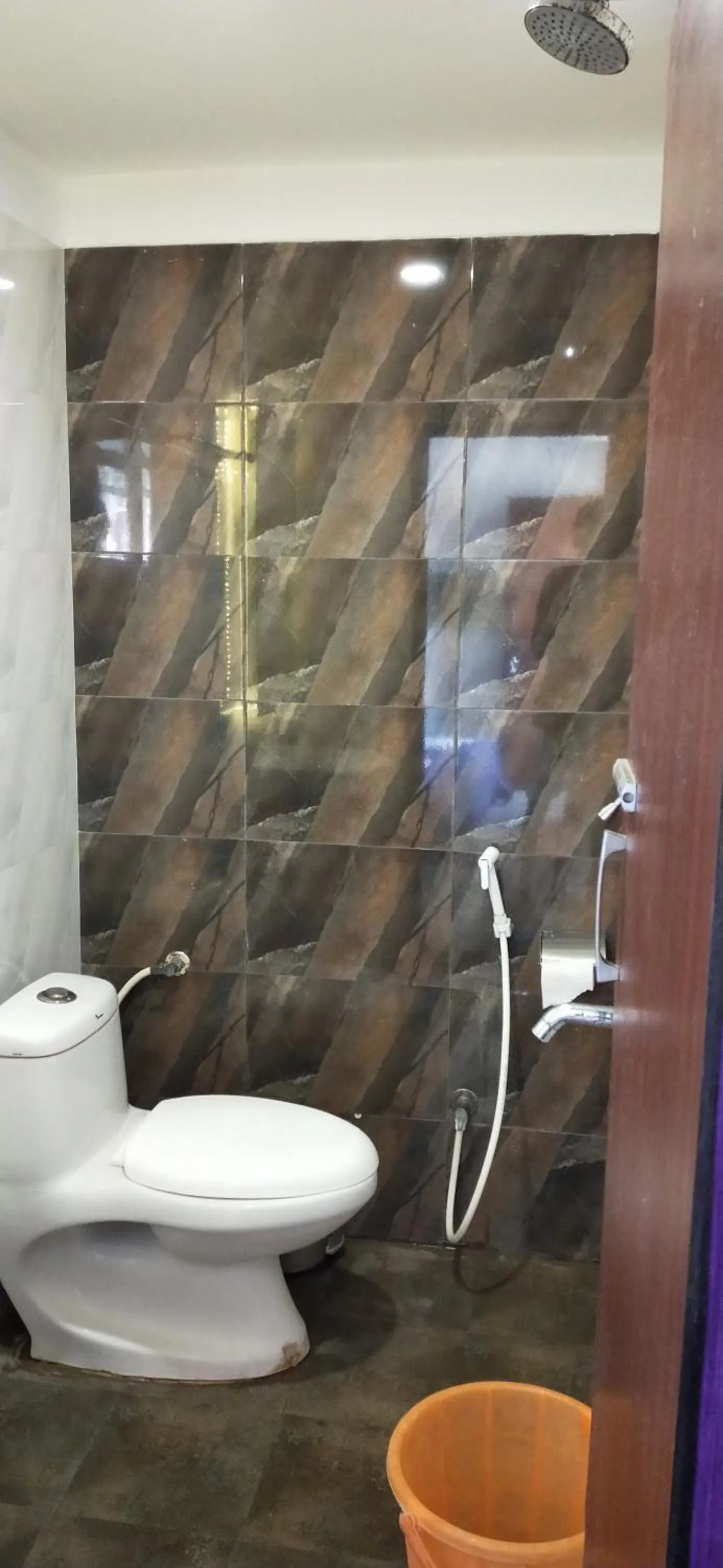 Toilet in Joey's Hostel Agra - 200m from Taj Mahal