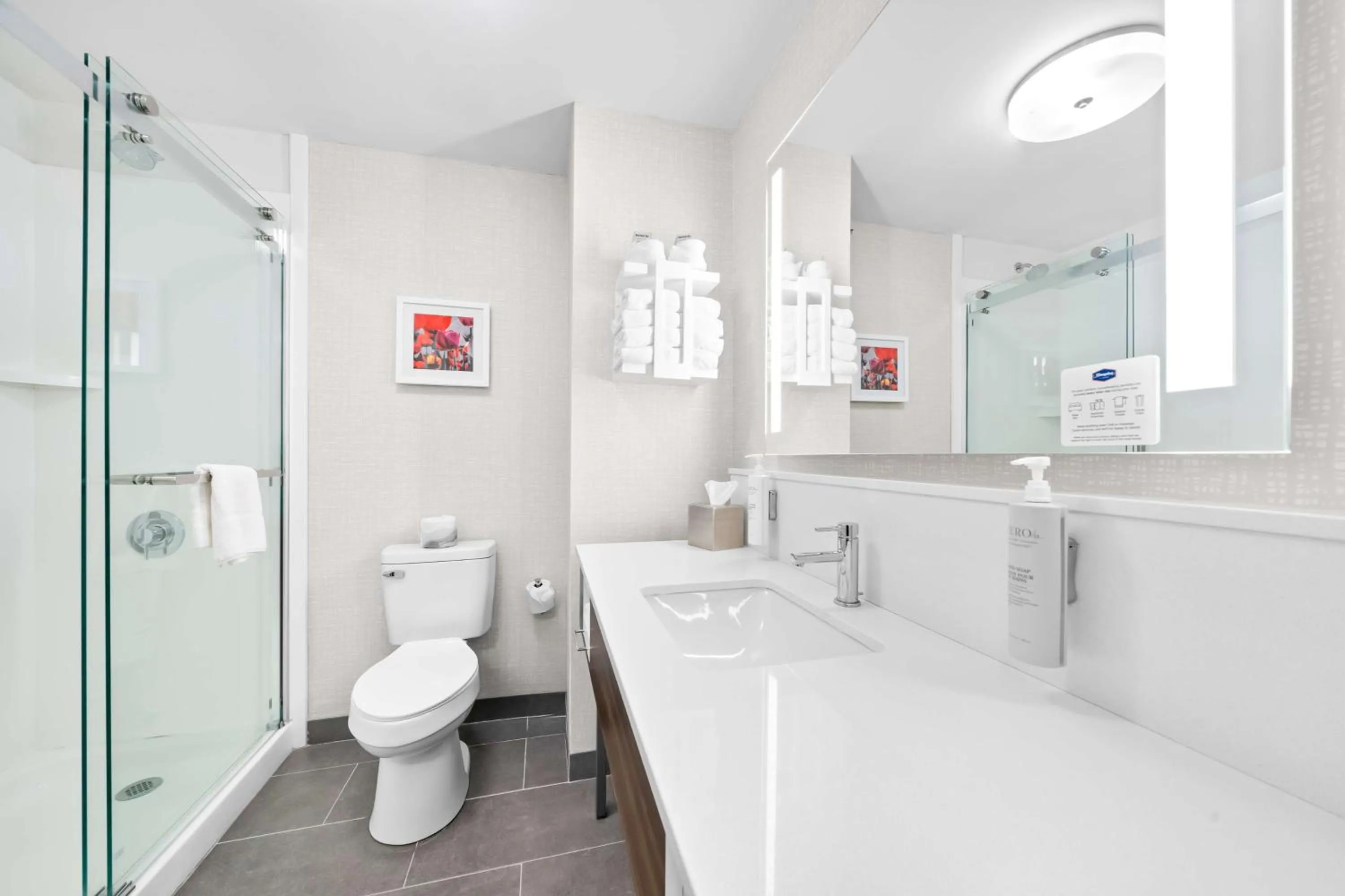 Bathroom in Hampton Inn South Heritage Park