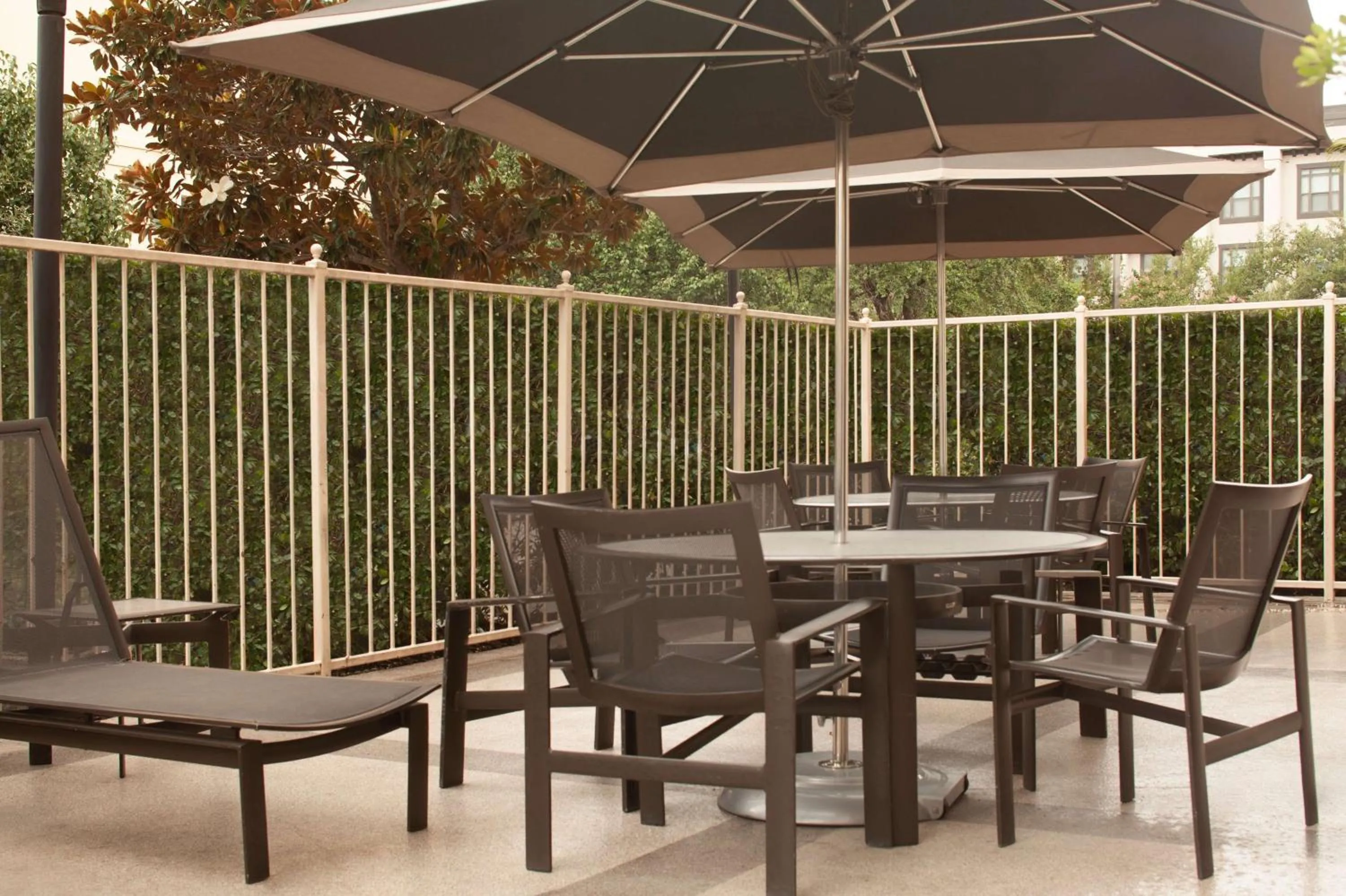 Pool view in Embassy Suites by Hilton Houston Near the Galleria