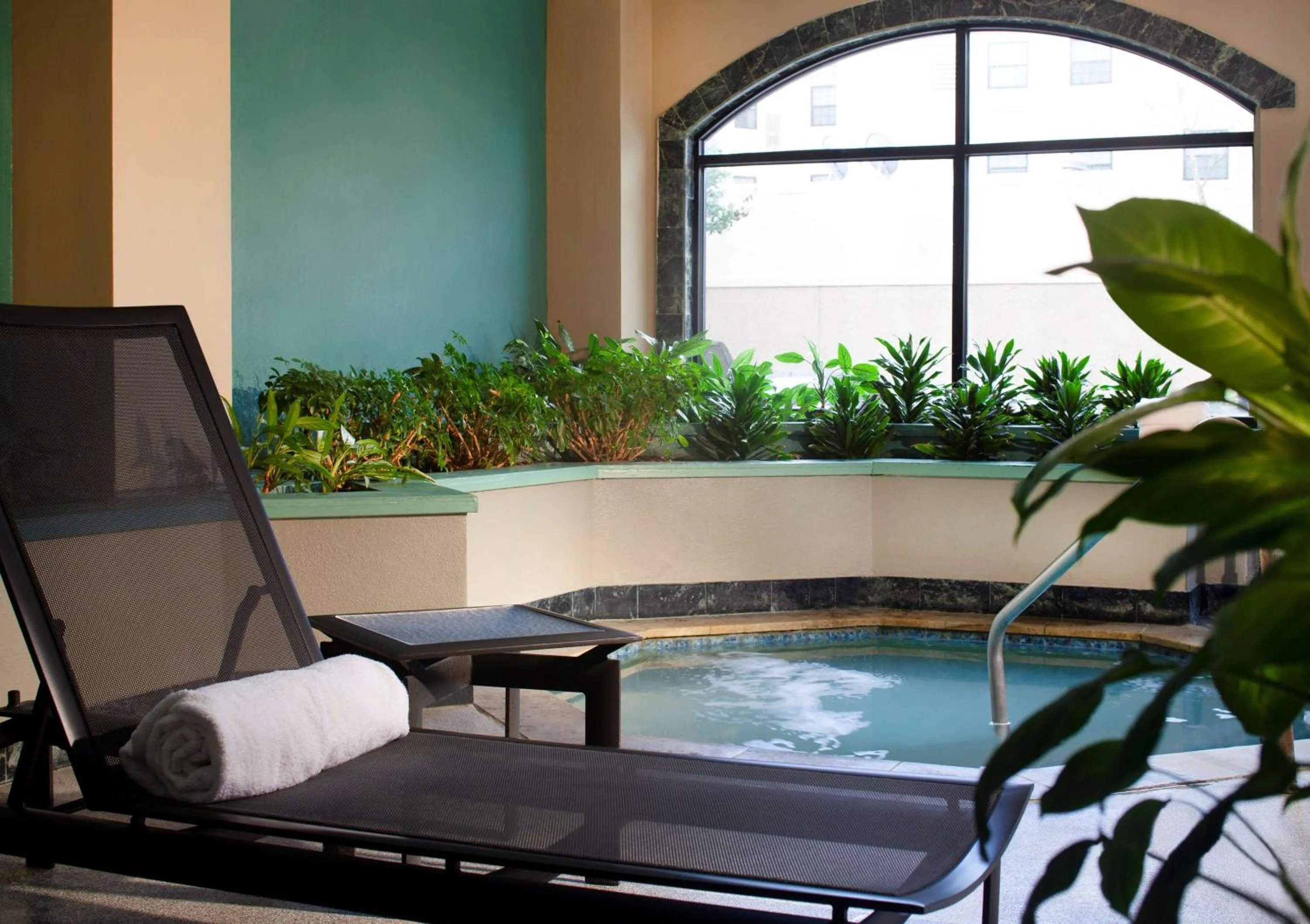 Pool view in Embassy Suites by Hilton Houston Near the Galleria