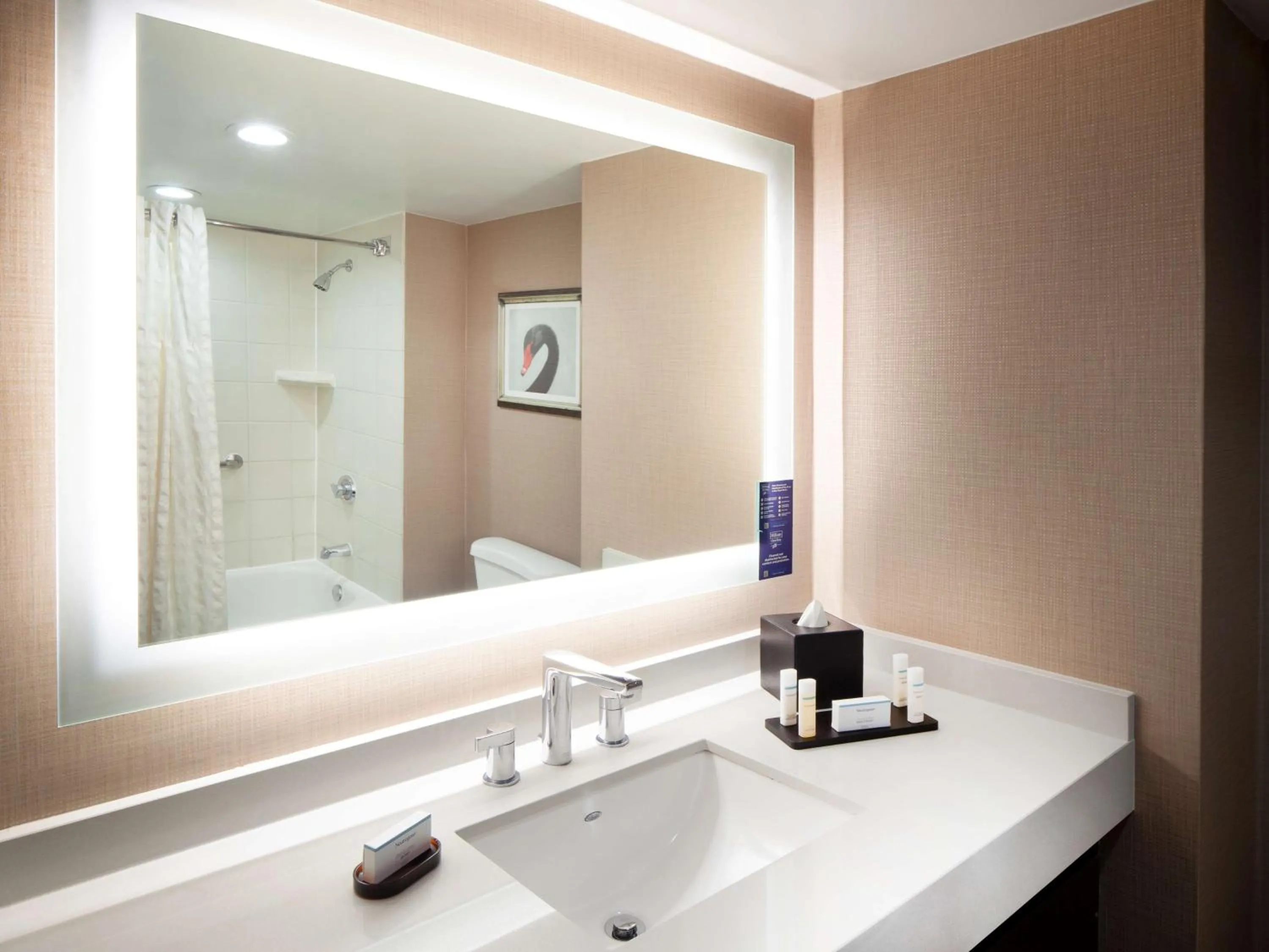 Bathroom in Embassy Suites by Hilton Houston Near the Galleria