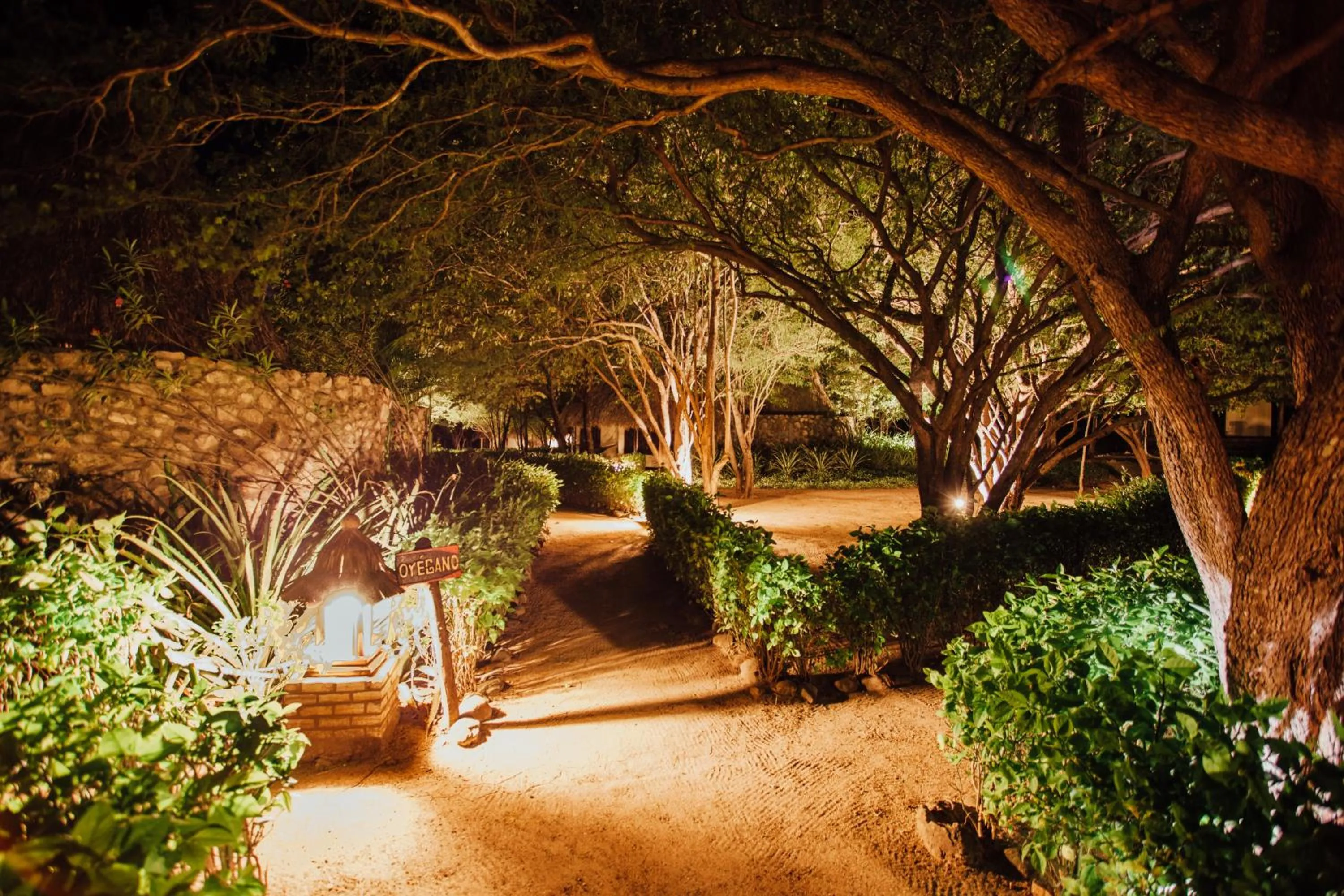 Natural landscape in Hotel Punta Teonoste Boutique Beachfront Resort