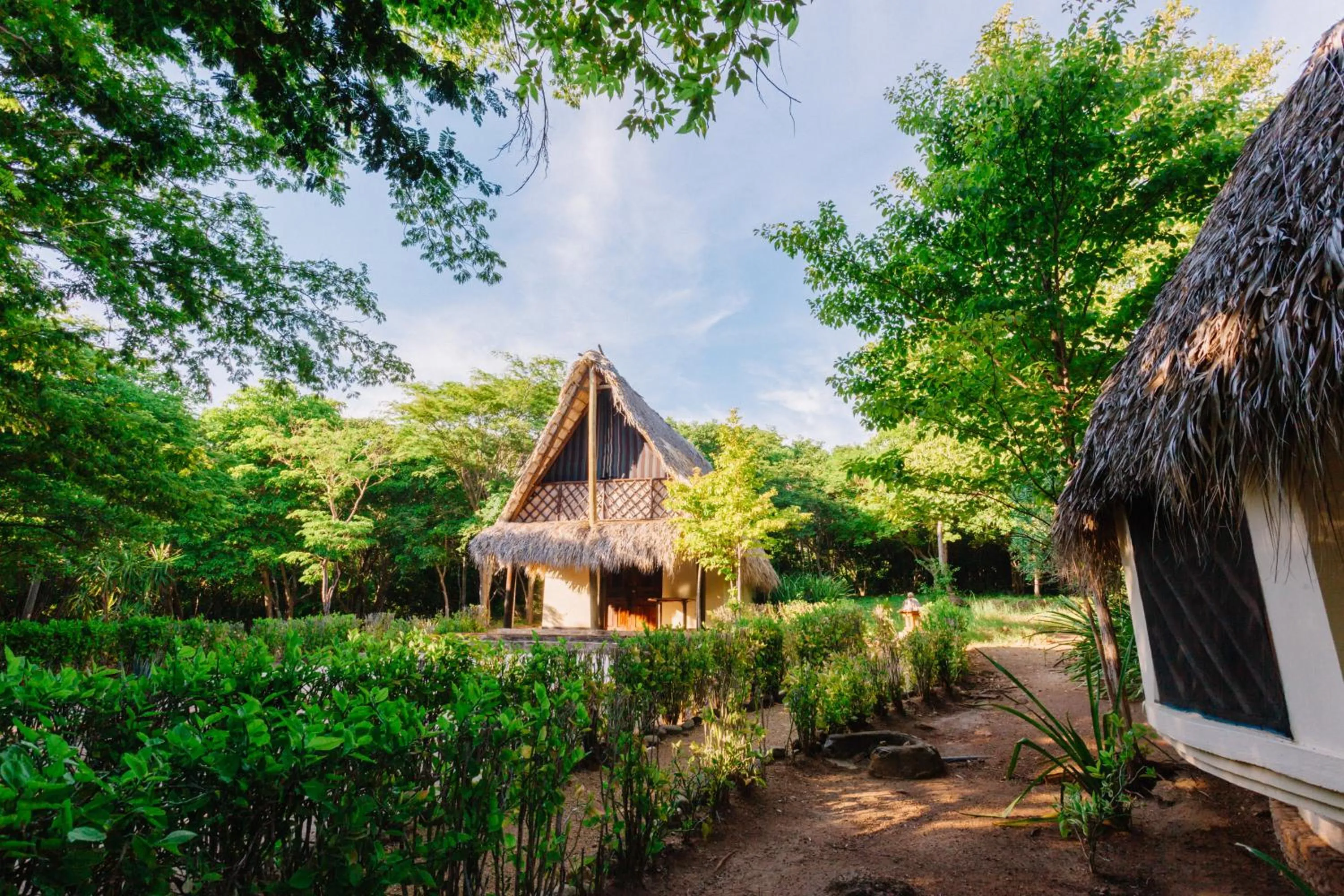Garden view in Hotel Punta Teonoste Boutique Beachfront Resort