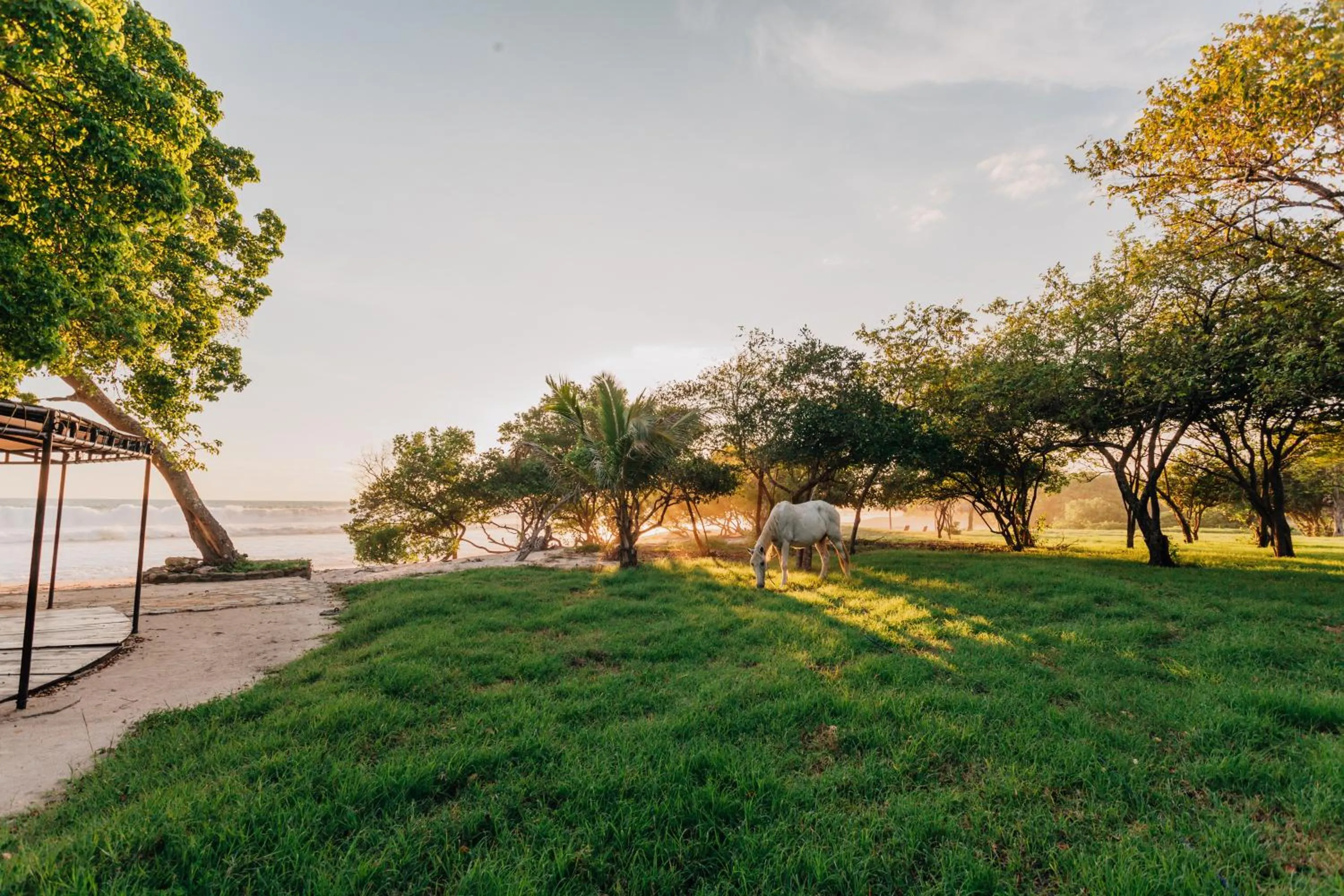 Patio in Hotel Punta Teonoste Boutique Beachfront Resort