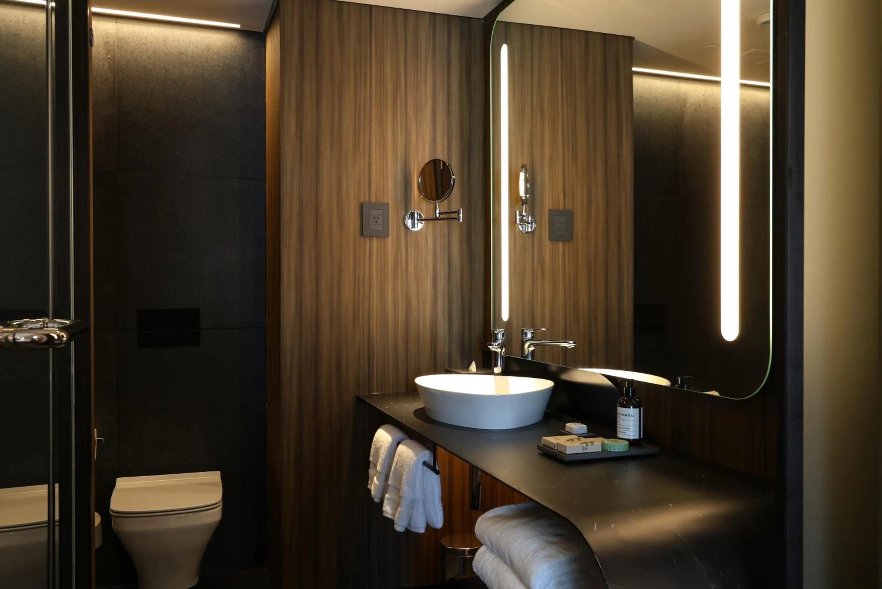 Bathroom in Recoleta Grand, Buenos Aires, a Tribute Portfolio Hotel