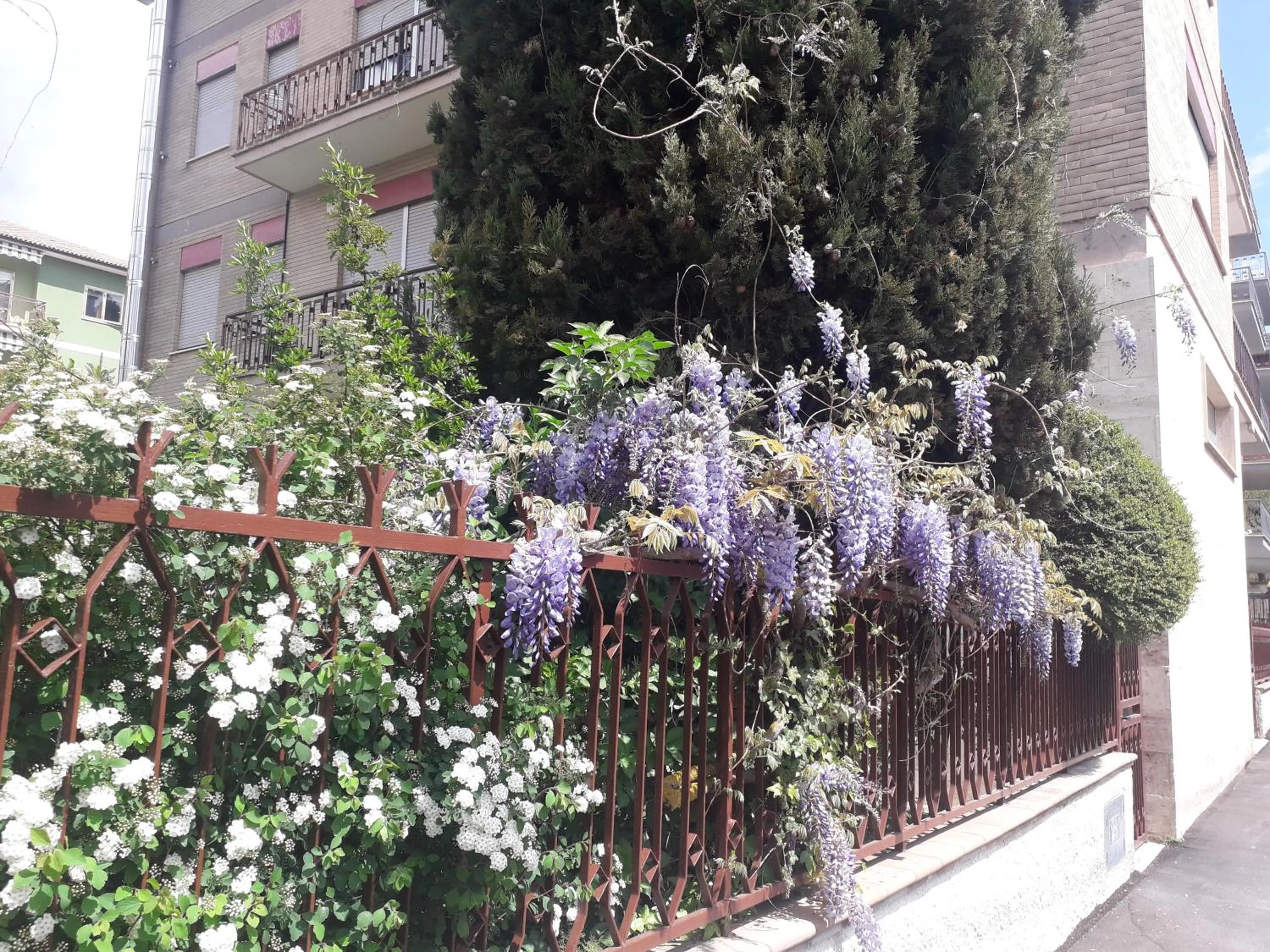 Garden in Maison Lavande