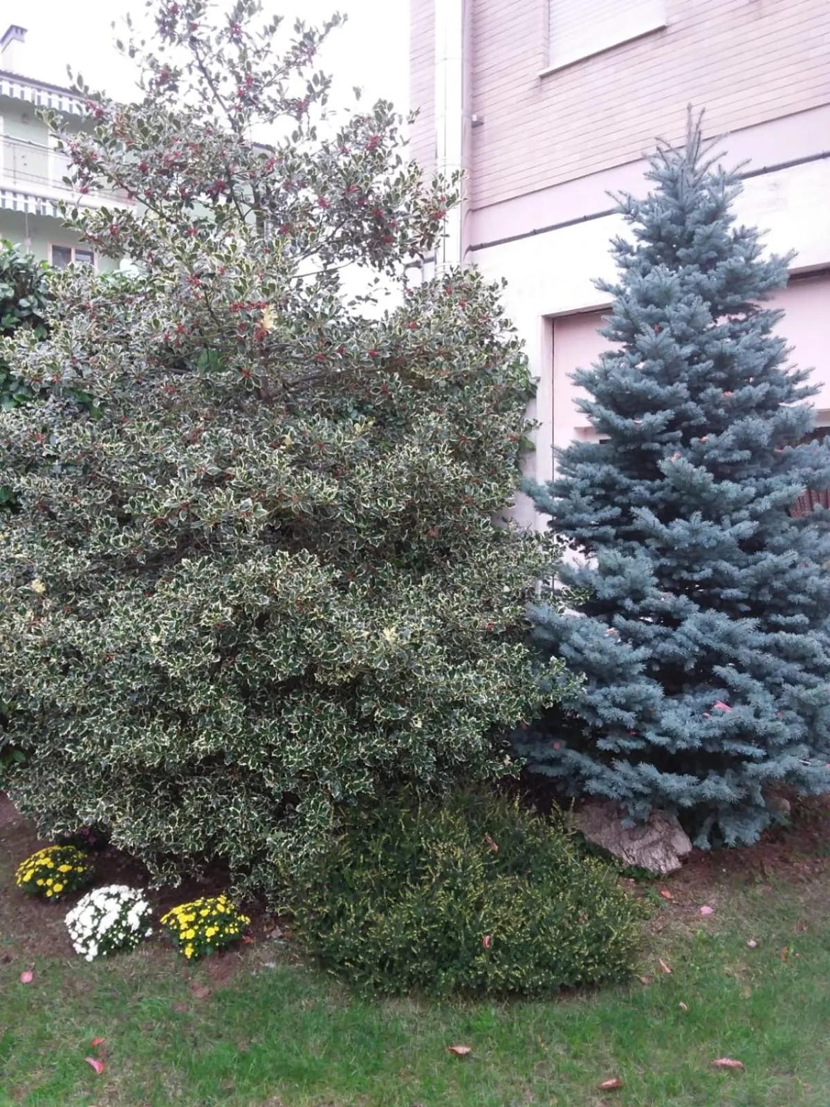 Property building in Maison Lavande