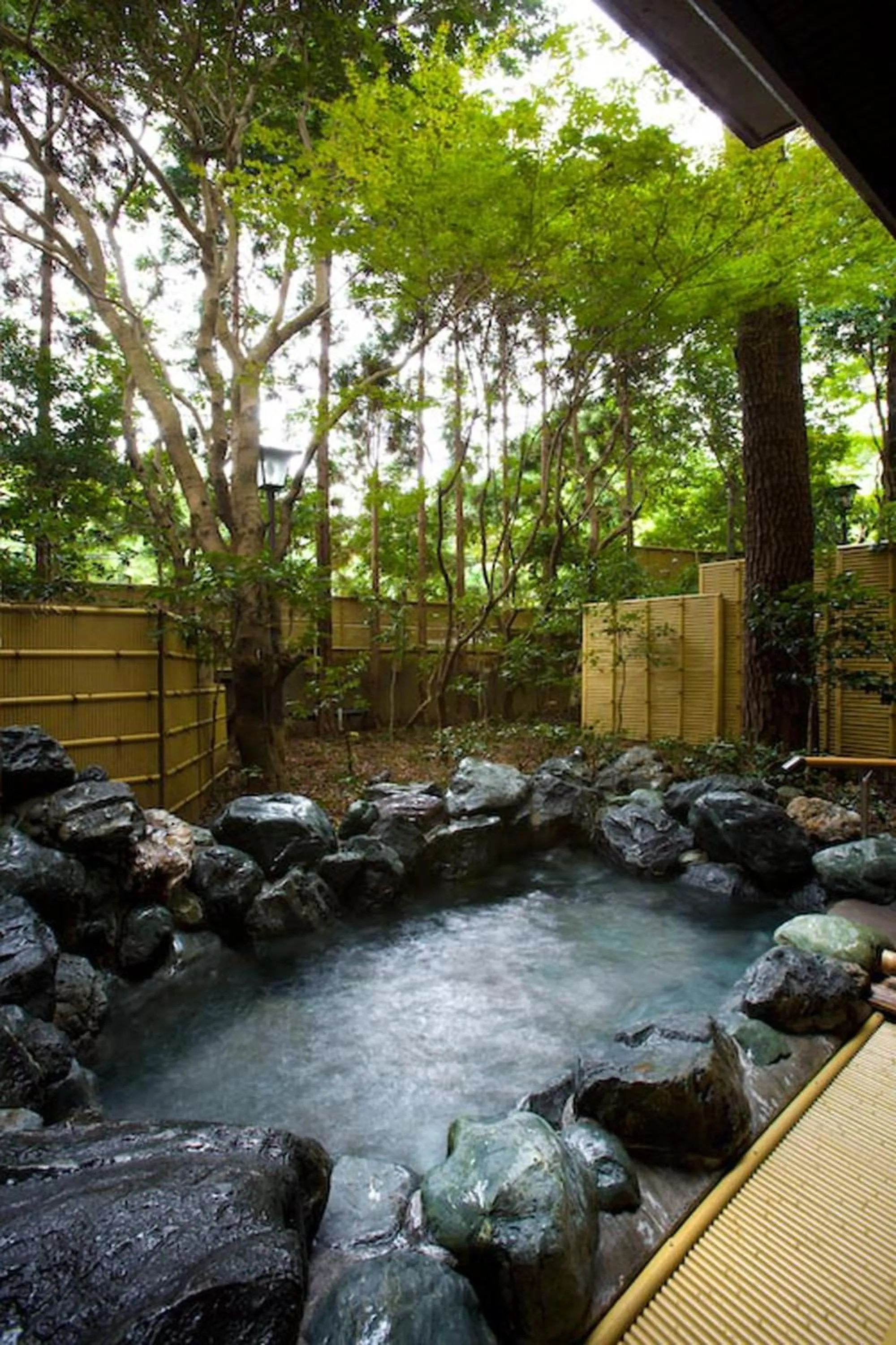 Hot Spring Bath in Oku Yugawara SANSUIROU
