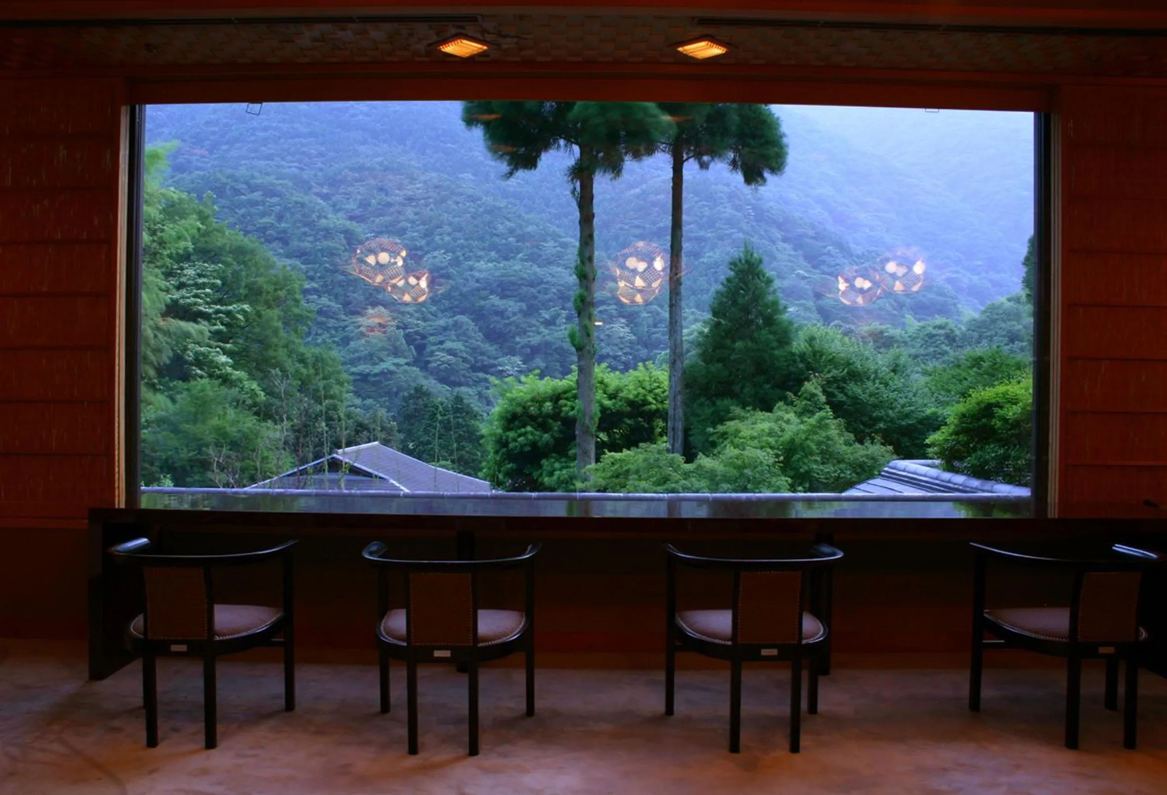 View (from property/room) in Oku Yugawara Tsubaki