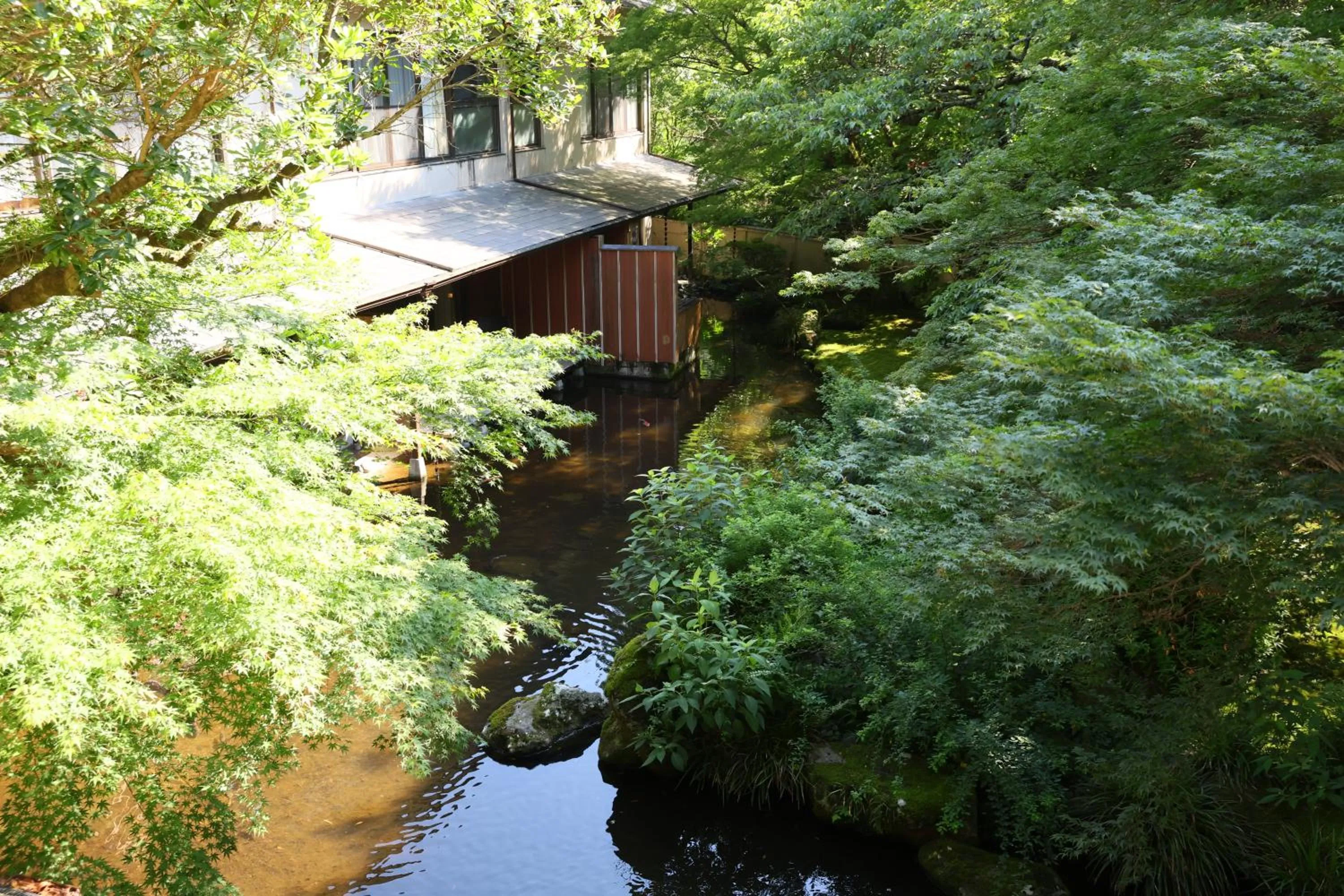 View (from property/room) in Oku Yugawara Tsubaki