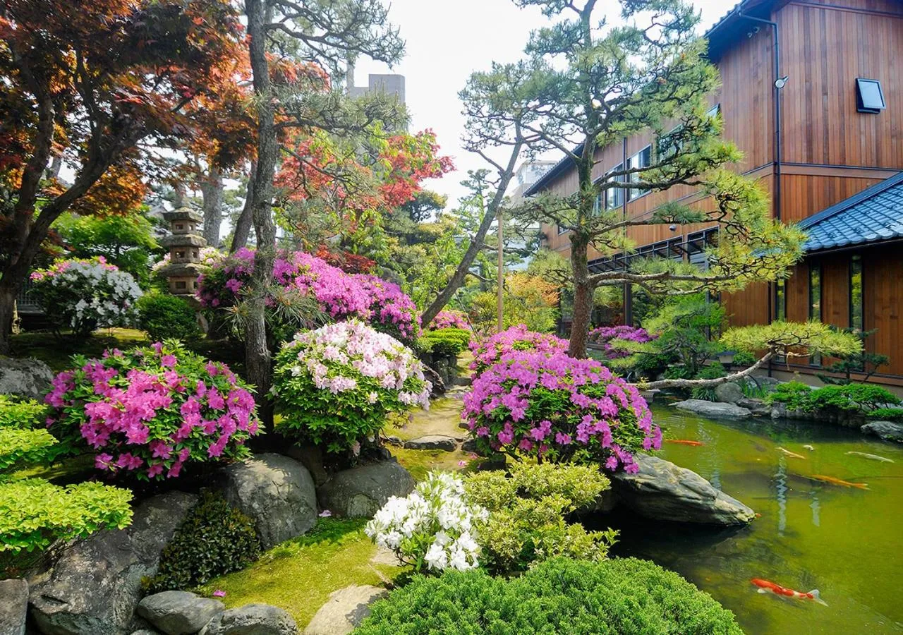 Property building in Haiya