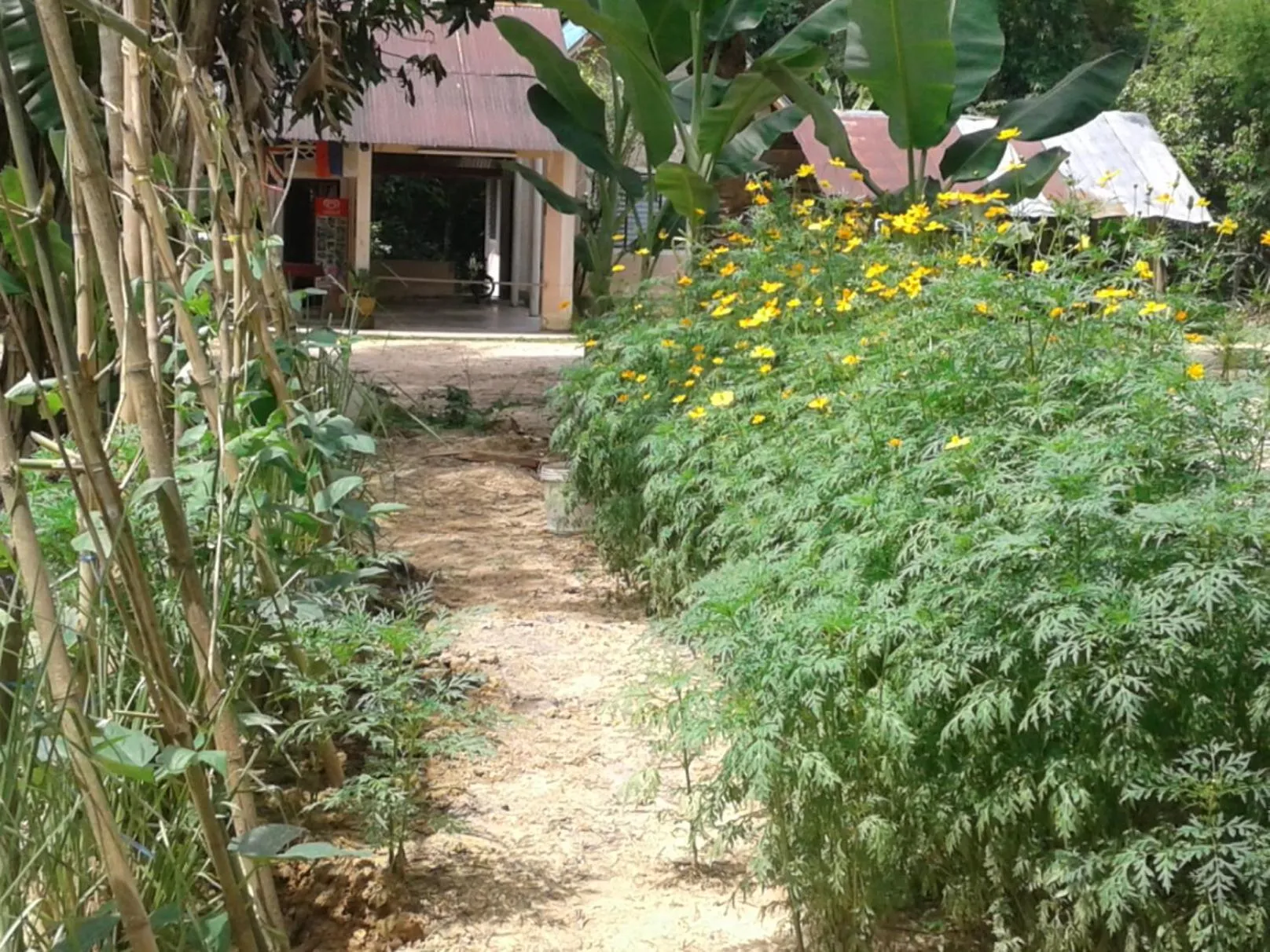 Suan Bang Bon Guest House