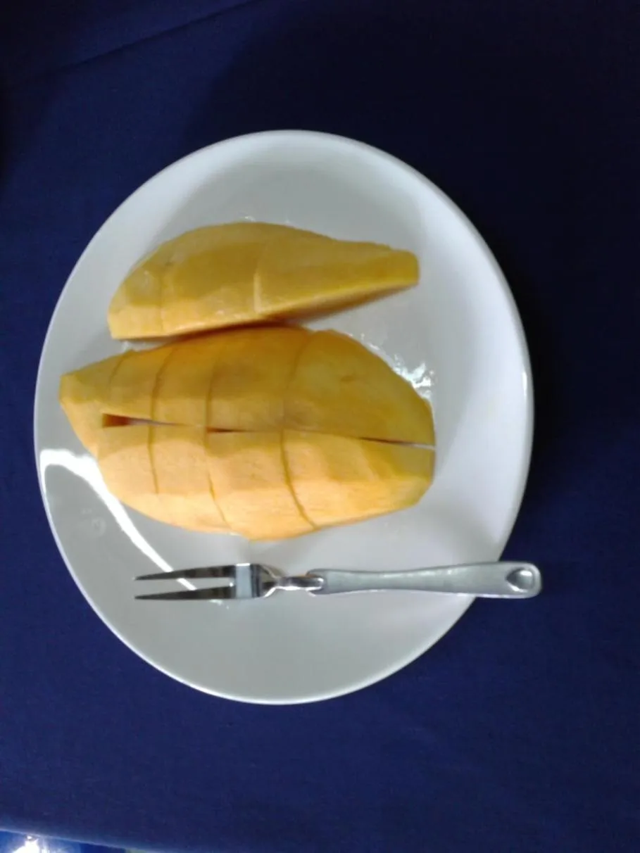 Suan Bang Bon Guest House