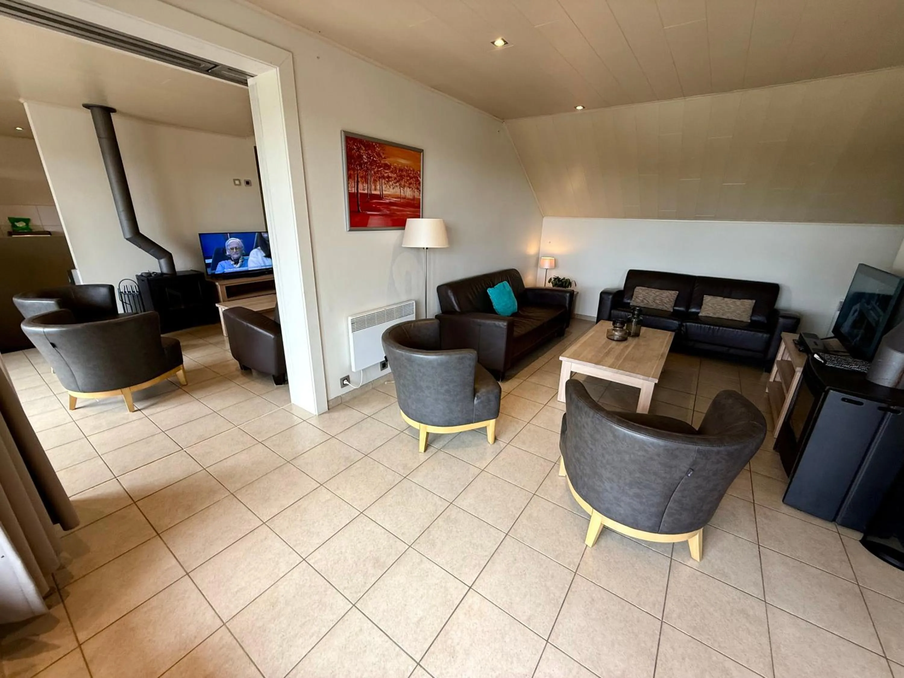 TV and multimedia in Holiday Park La Sapinière