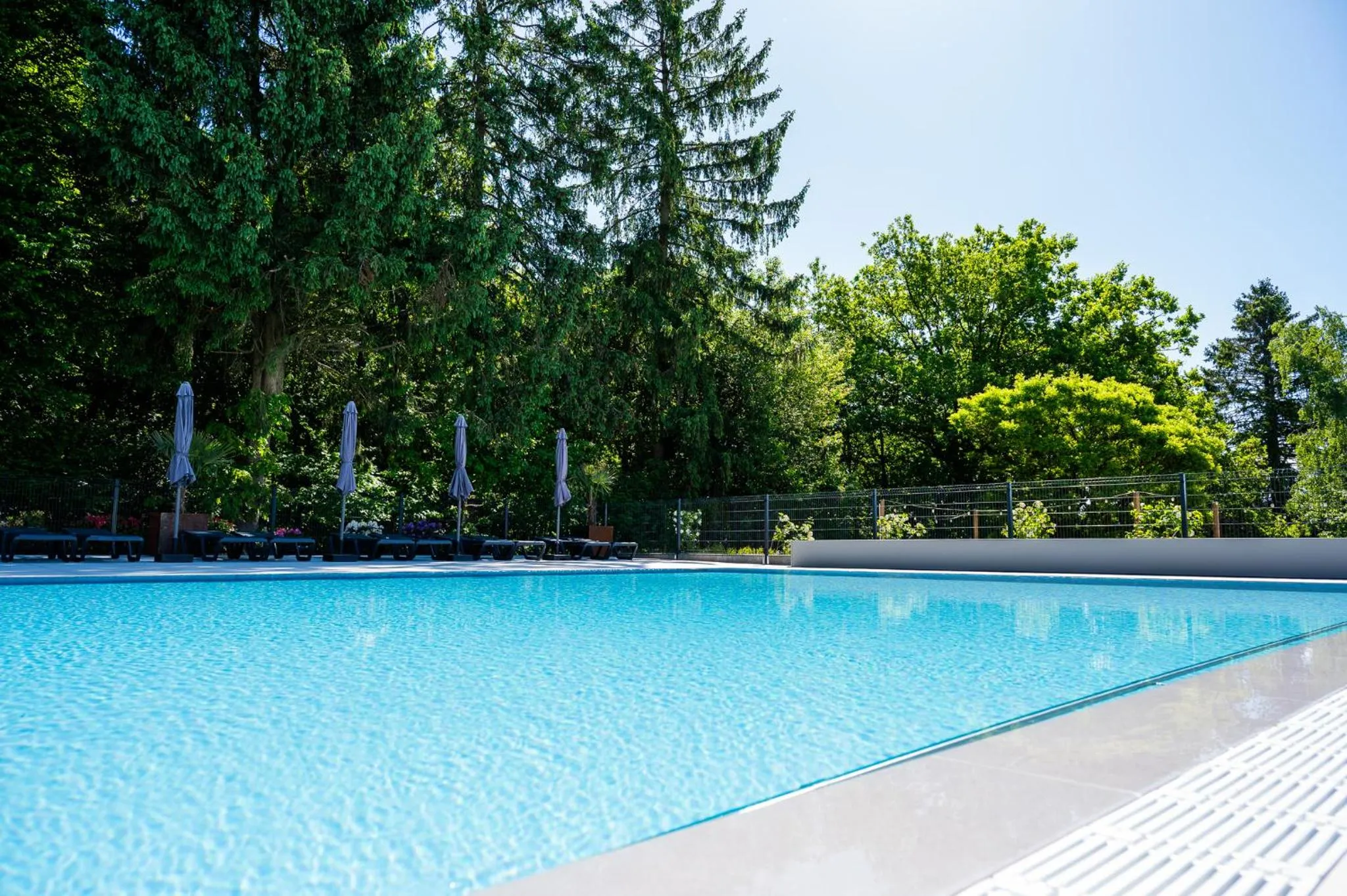 Swimming pool in Holiday Park La Sapinière