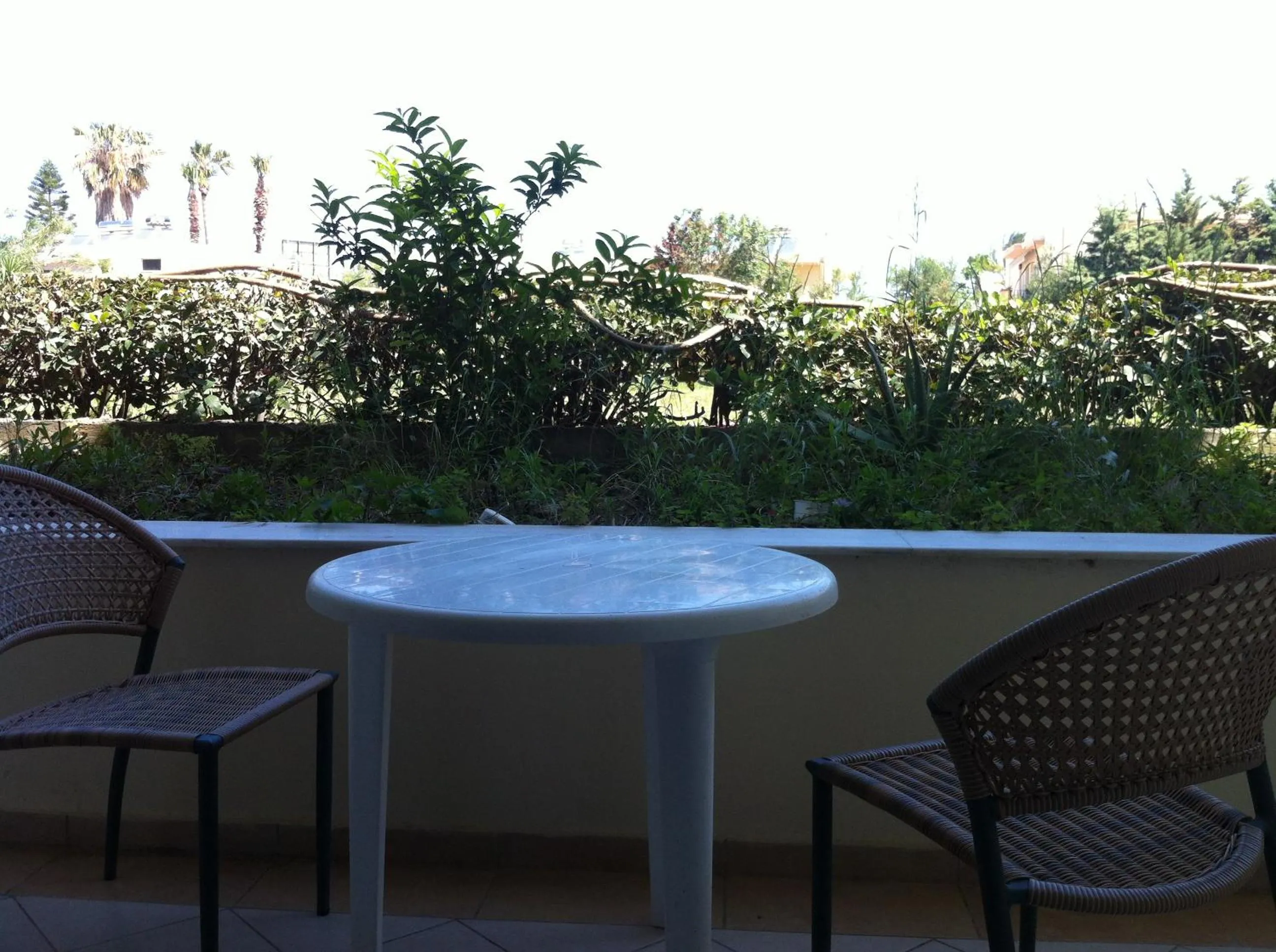 Patio in Olgas Paradise Apartments