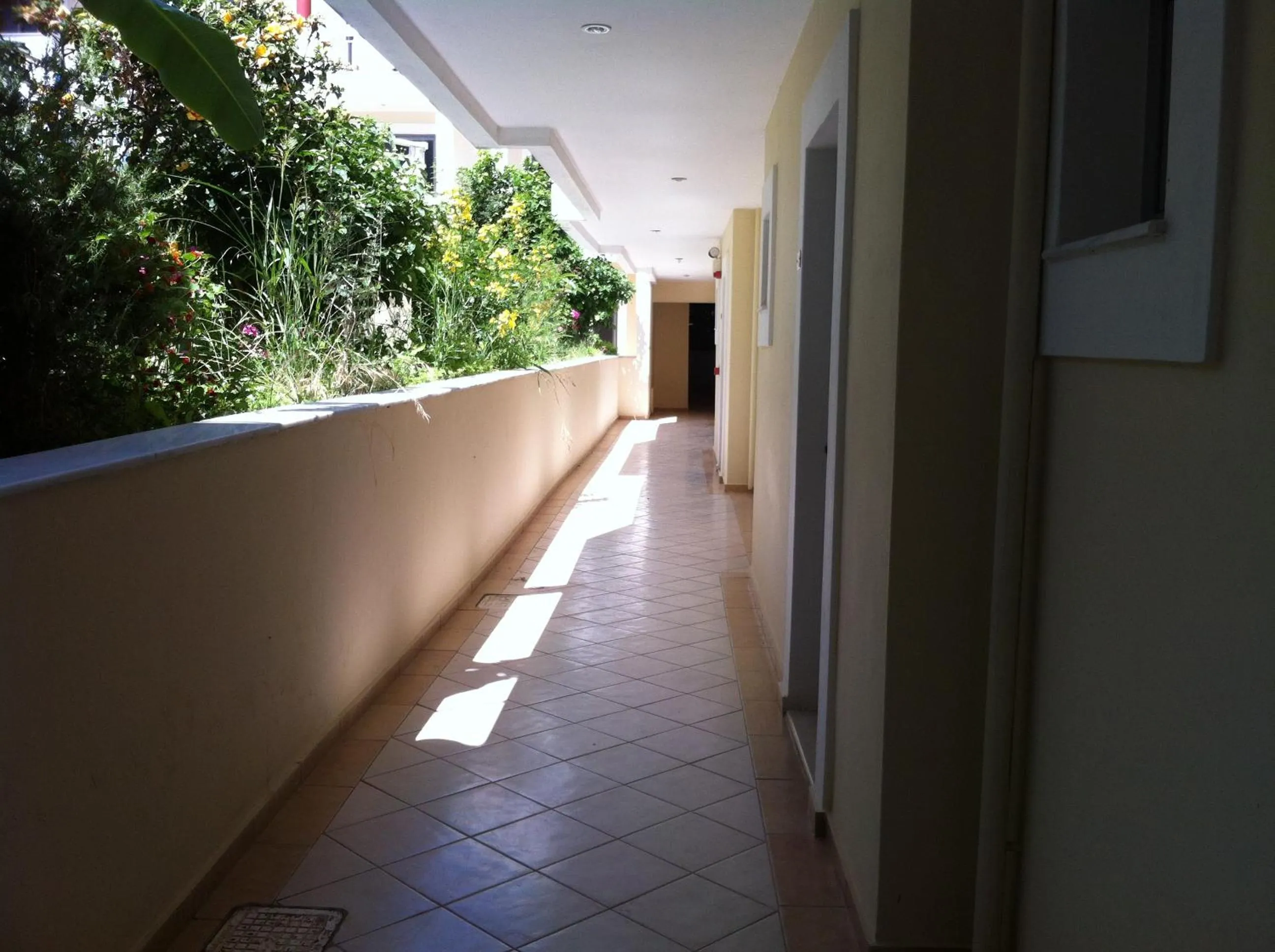 Other in Olgas Paradise Apartments