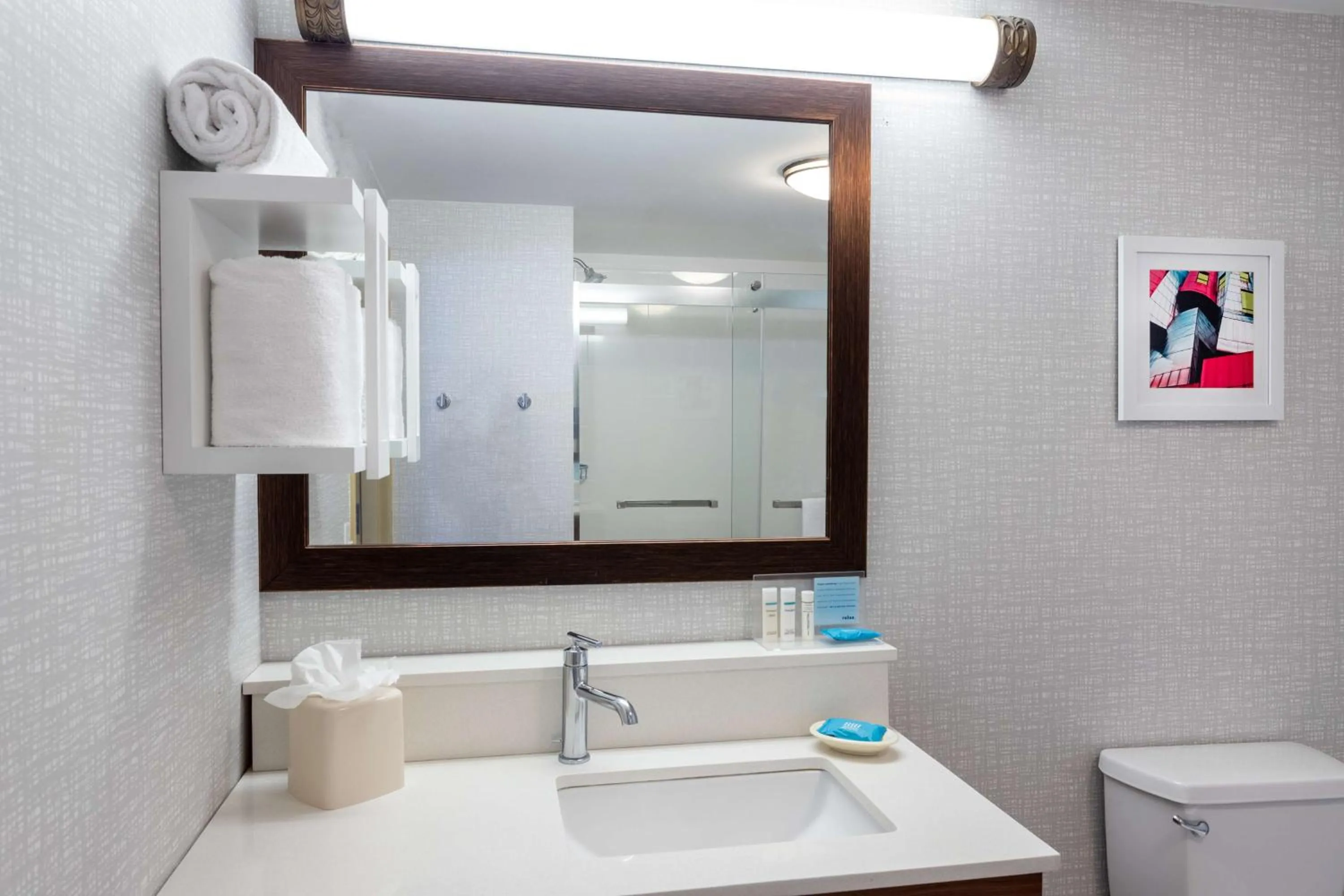 Bathroom in Hampton Inn & Suites Minneapolis St. Paul Airport - Mall of America