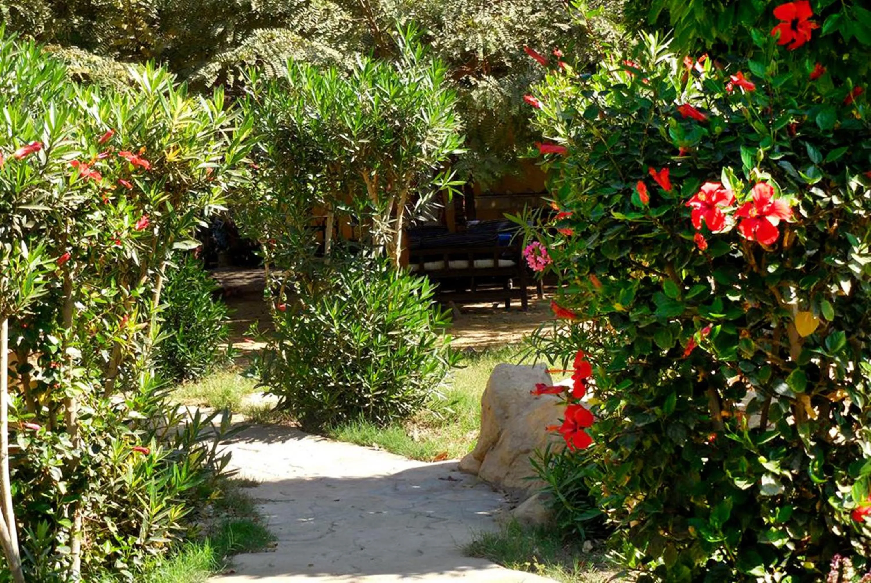 Hotel Sheherazade Luxor