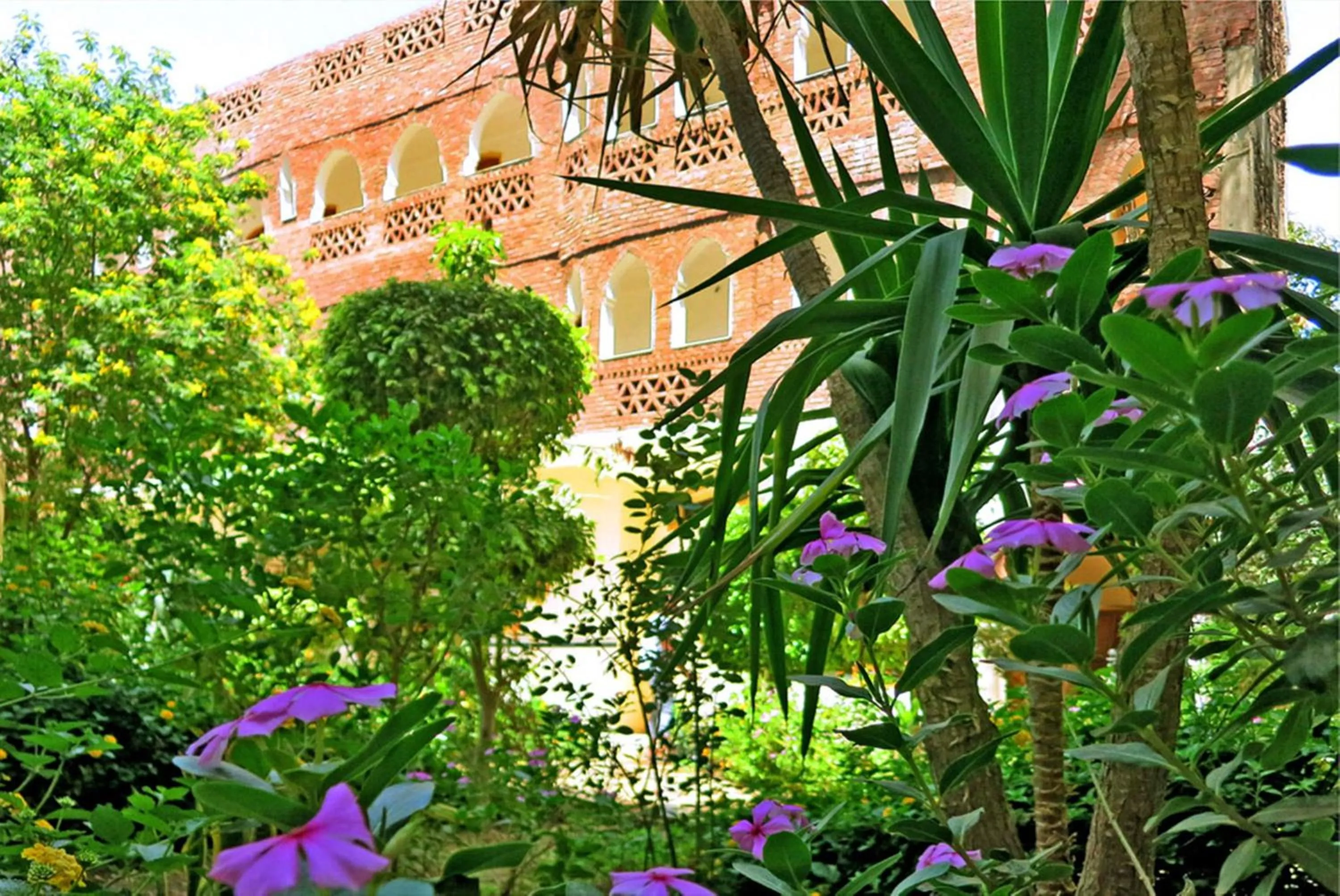 Hotel Sheherazade Luxor