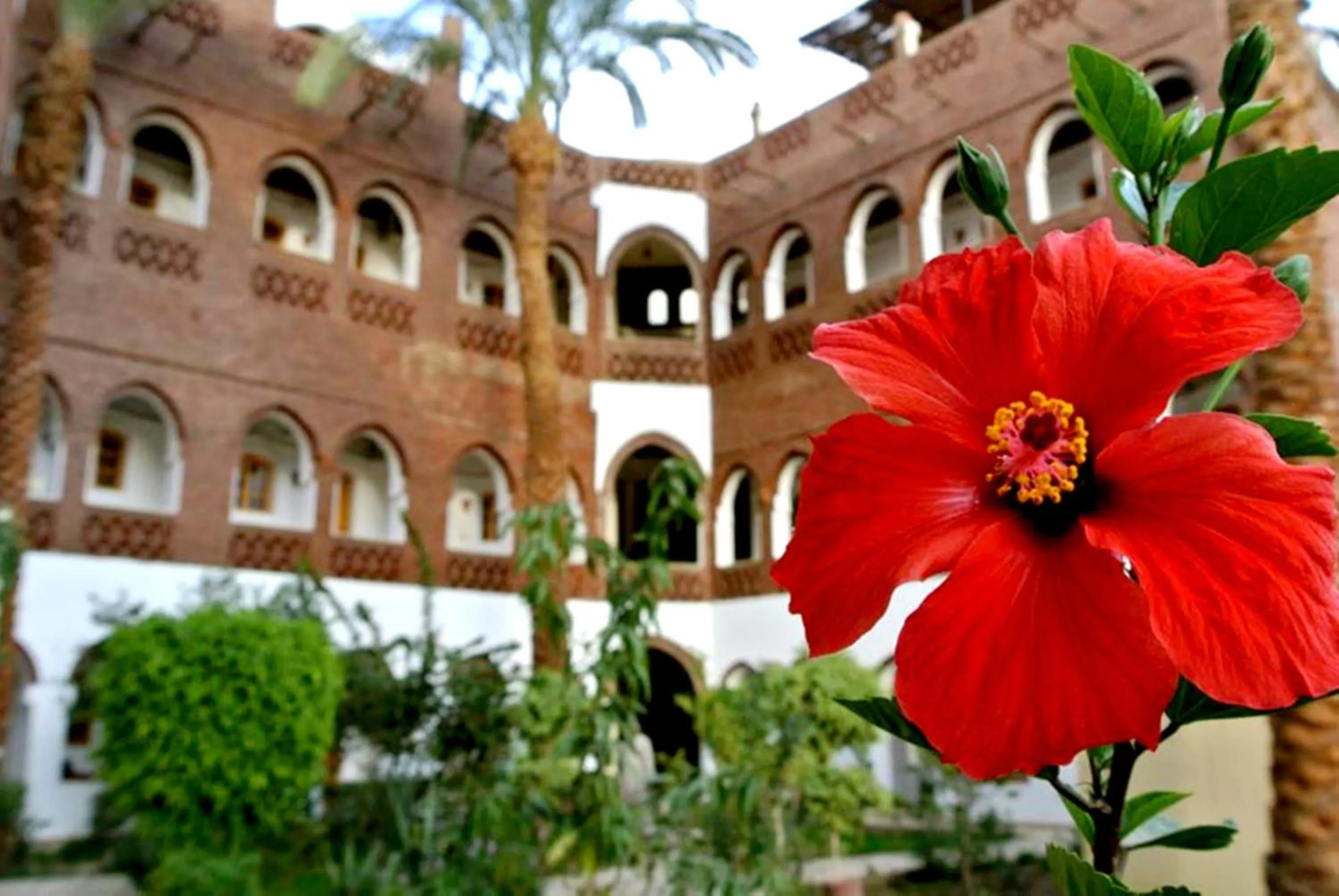 Hotel Sheherazade Luxor