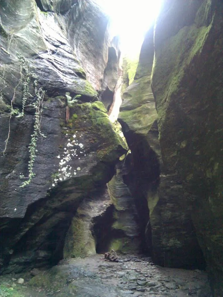 Natural landscape in Casa Fattorini