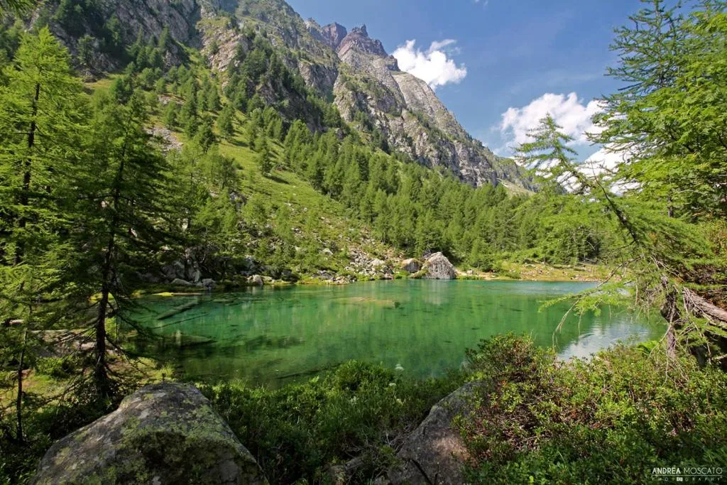Natural landscape in Casa Fattorini