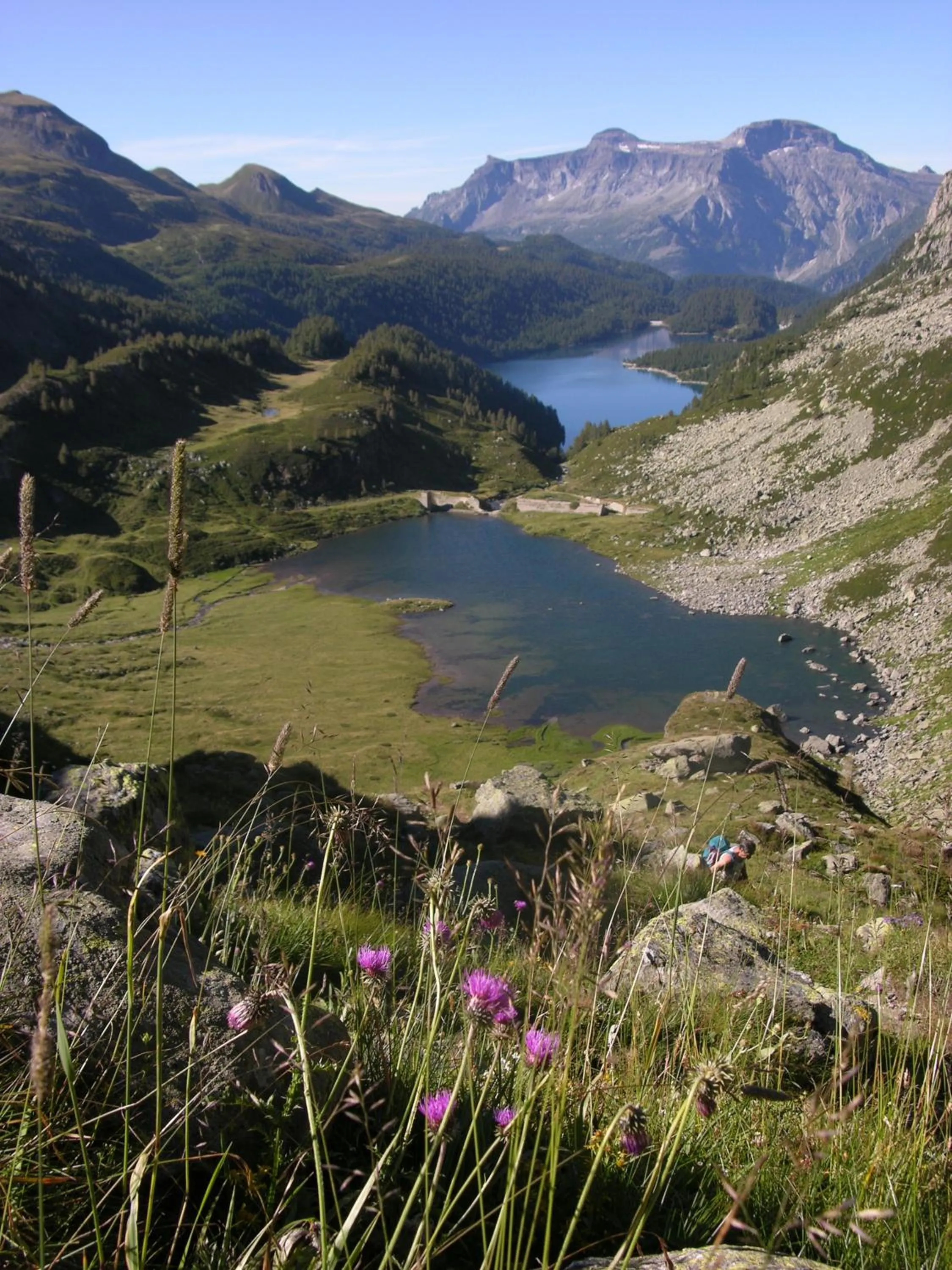 Spring in Casa Fattorini