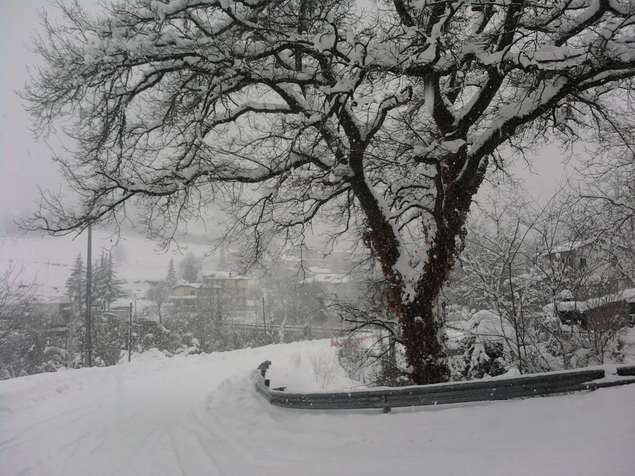 Natural landscape in B&B Villa Filetta