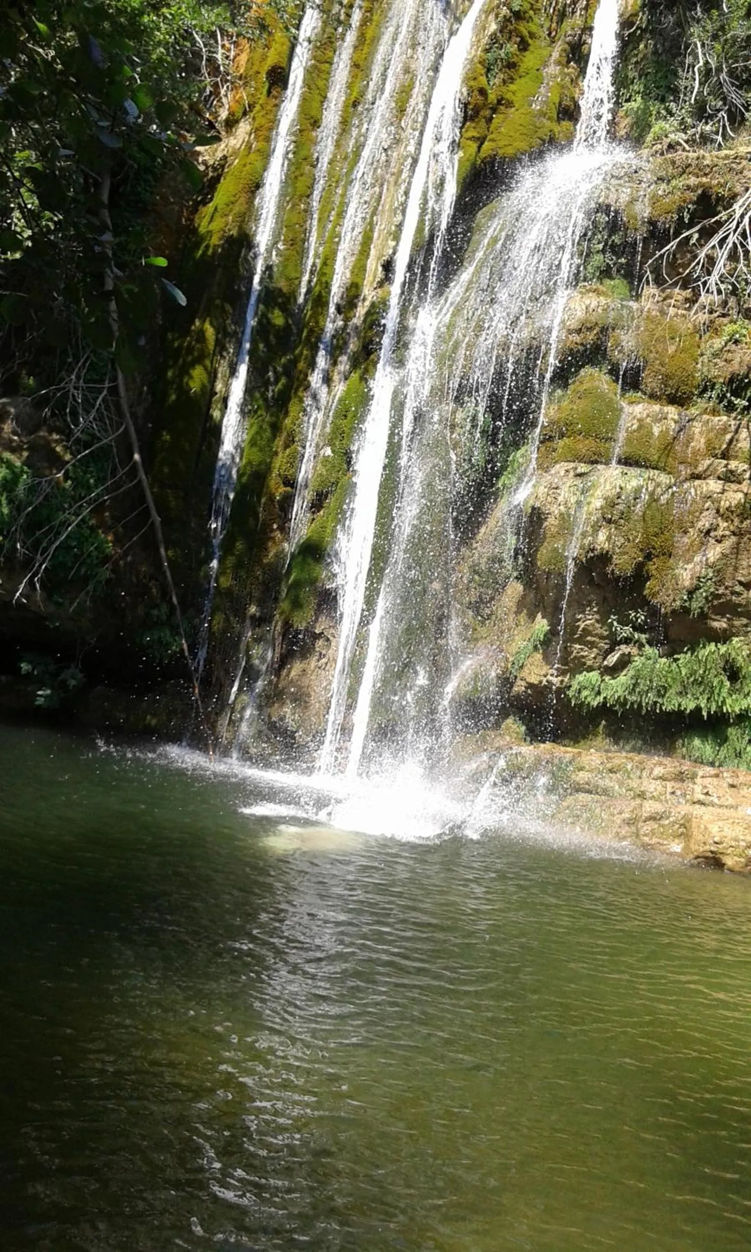 Nearby landmark in B&B Villa Filetta