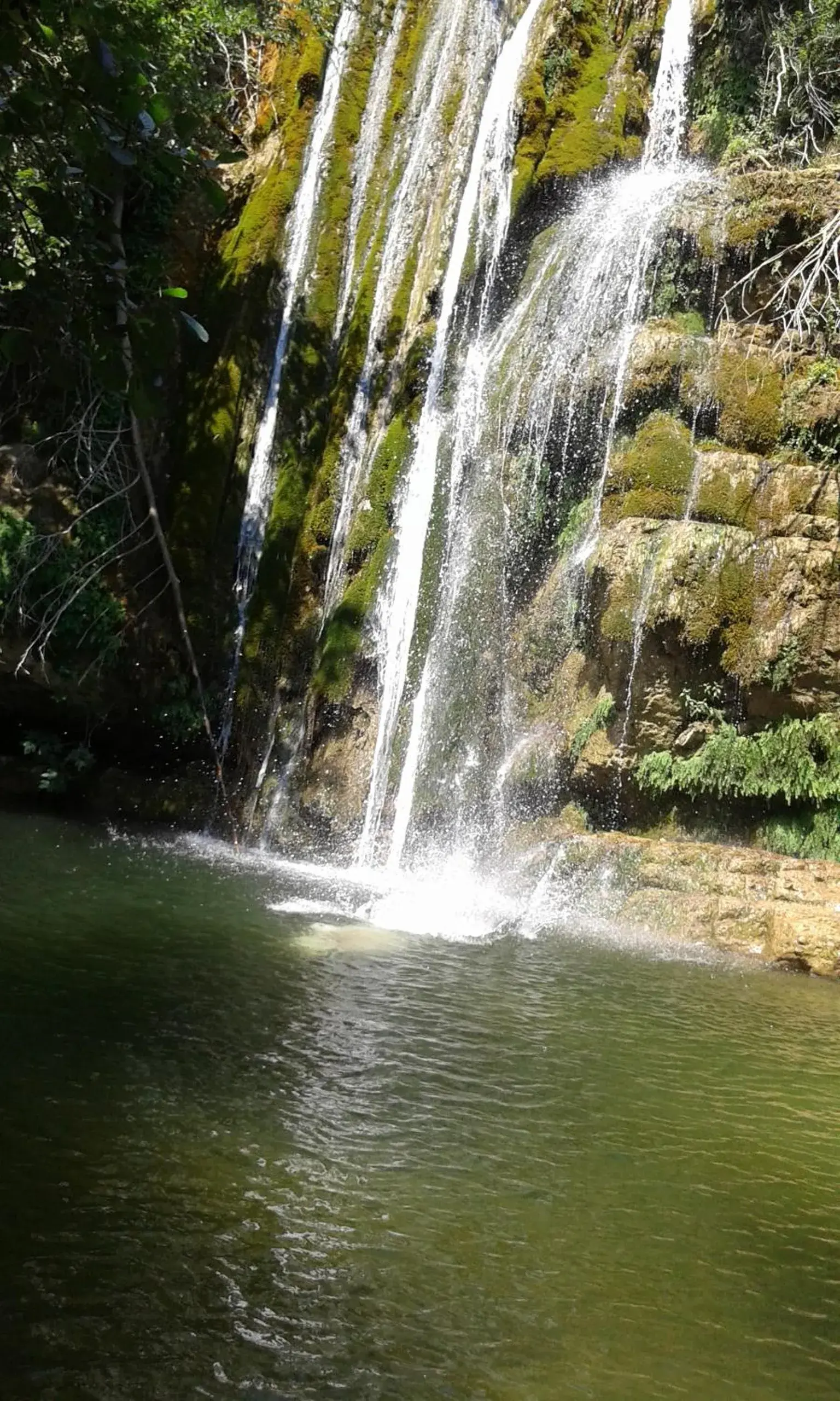 B&B Villa Filetta B&B Villa Filetta