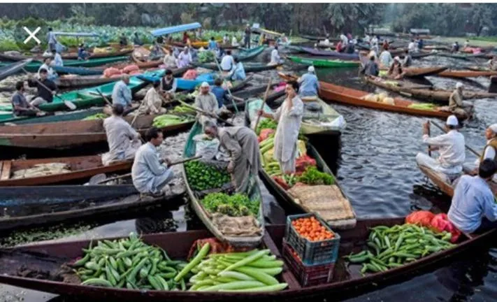 Maharaja palace houseboat