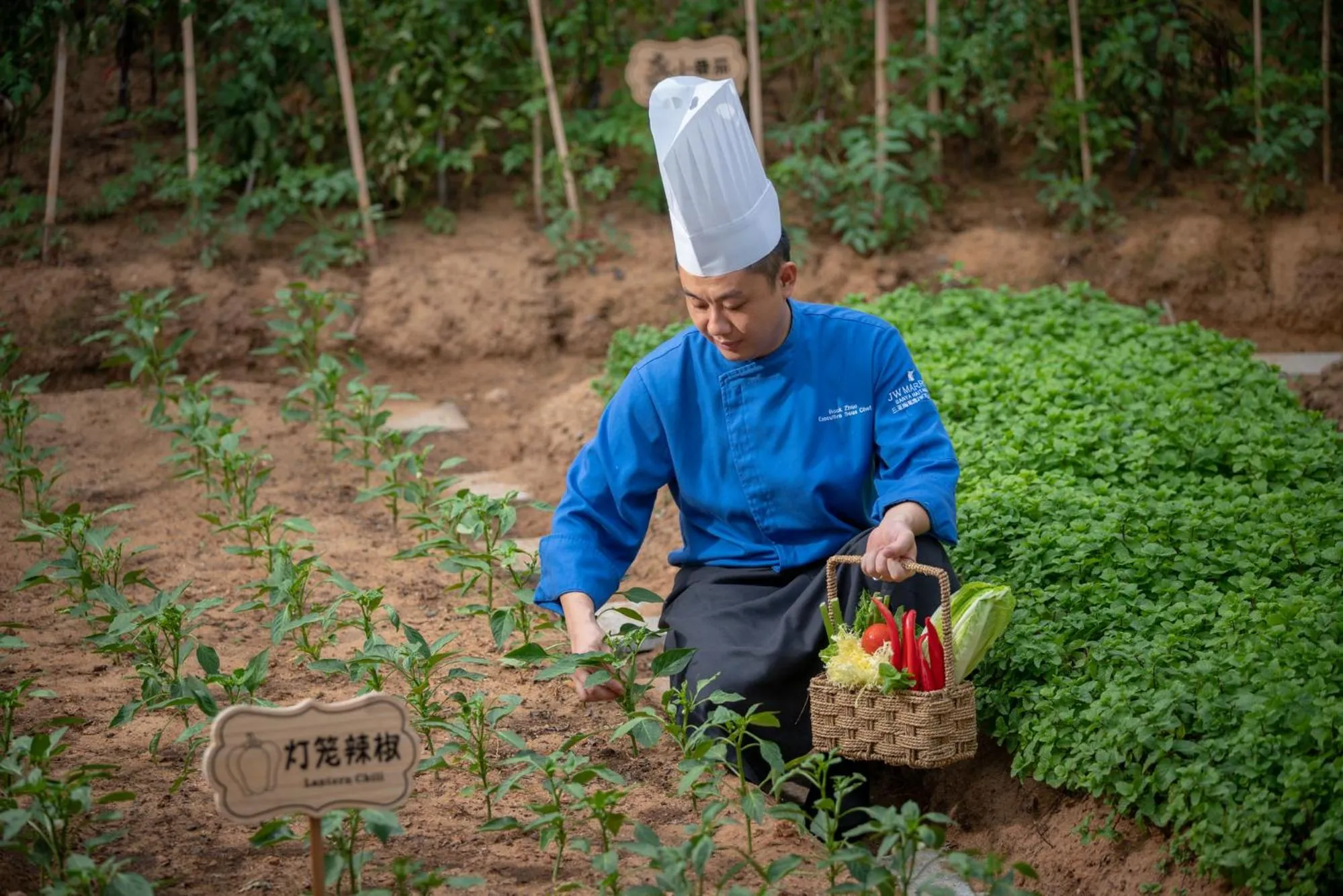 Garden in JW Marriott Sanya Haitang Bay Resort & Spa