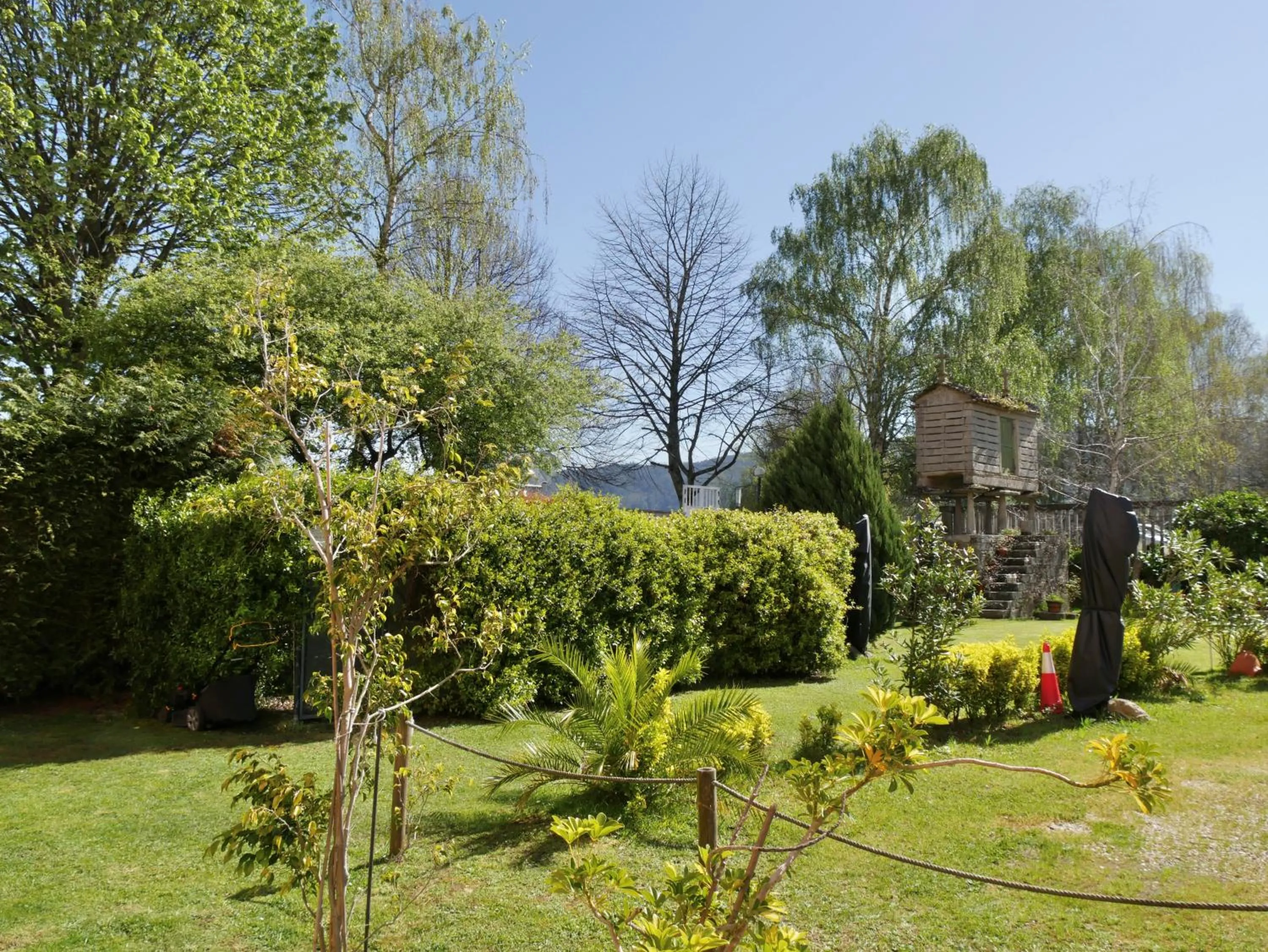Garden in Hotel Eumesa
