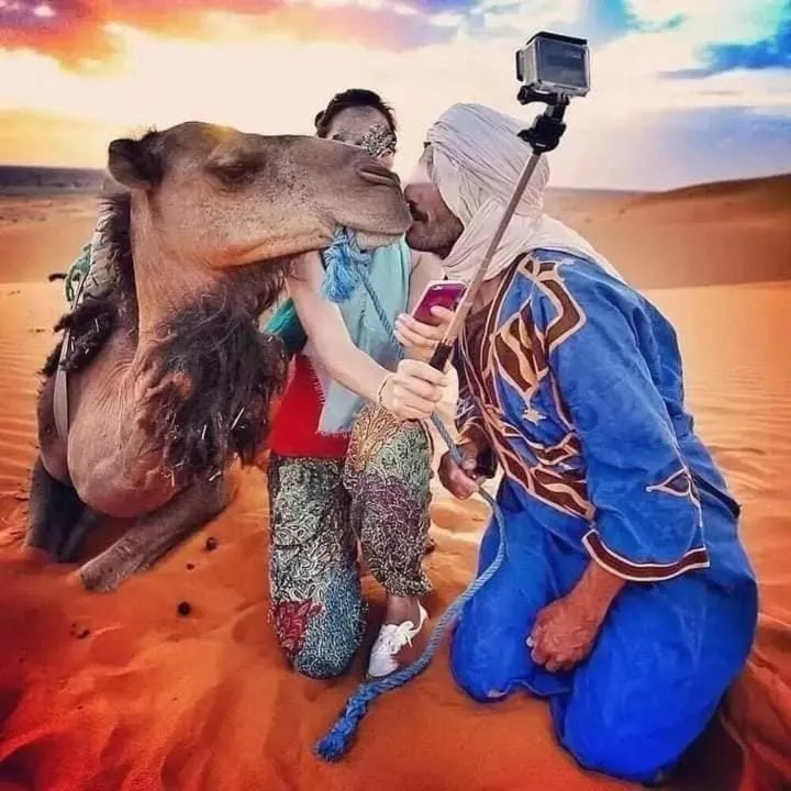 Auberge Camping Ocean des dunes