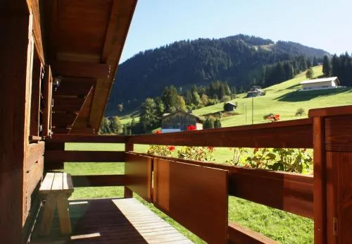 Alpenchalet Weidhaus Gstaad - Dachwohnung - Studio - Stockbettzimmer