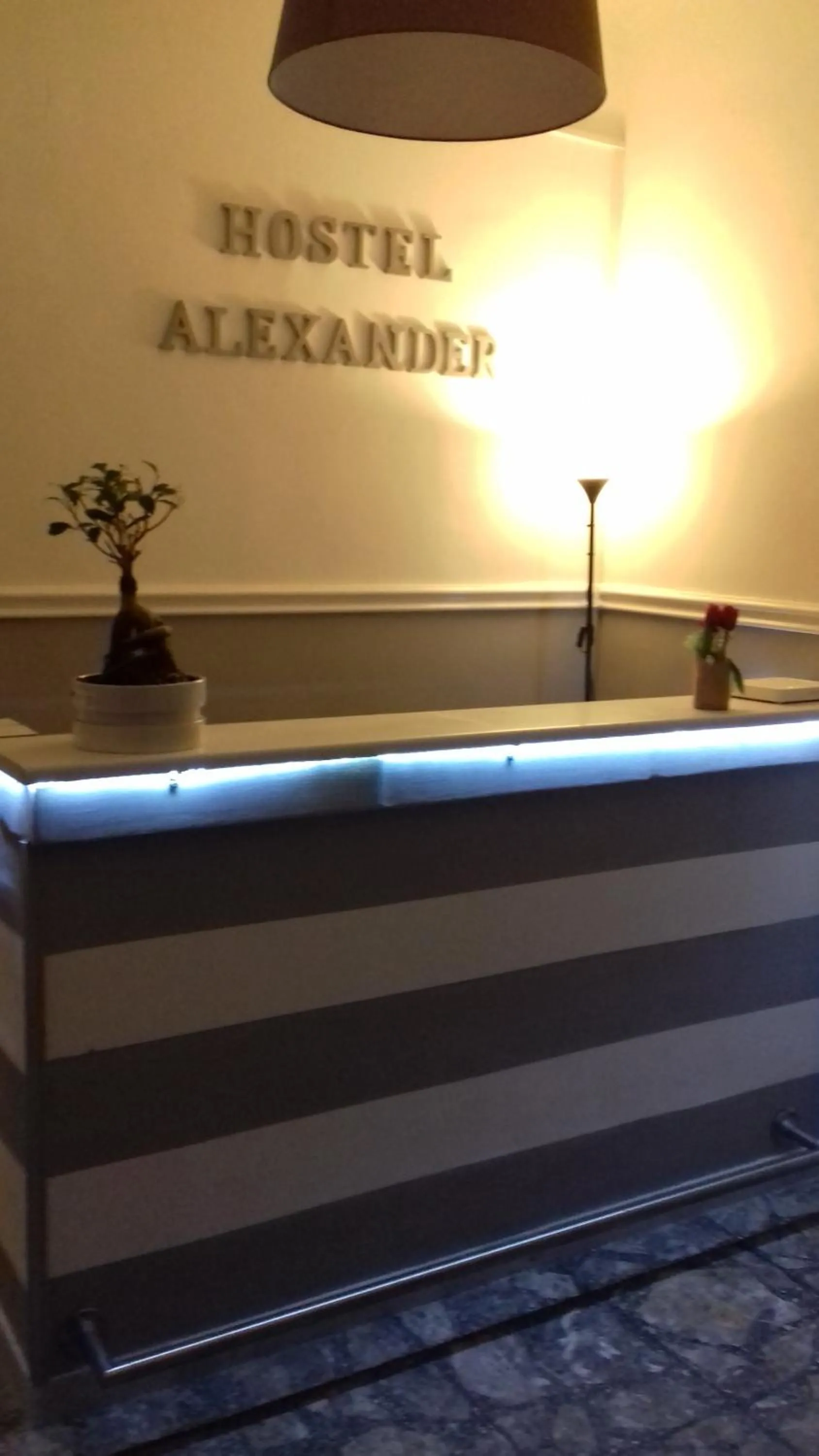 Lobby or reception in Alexander hostel